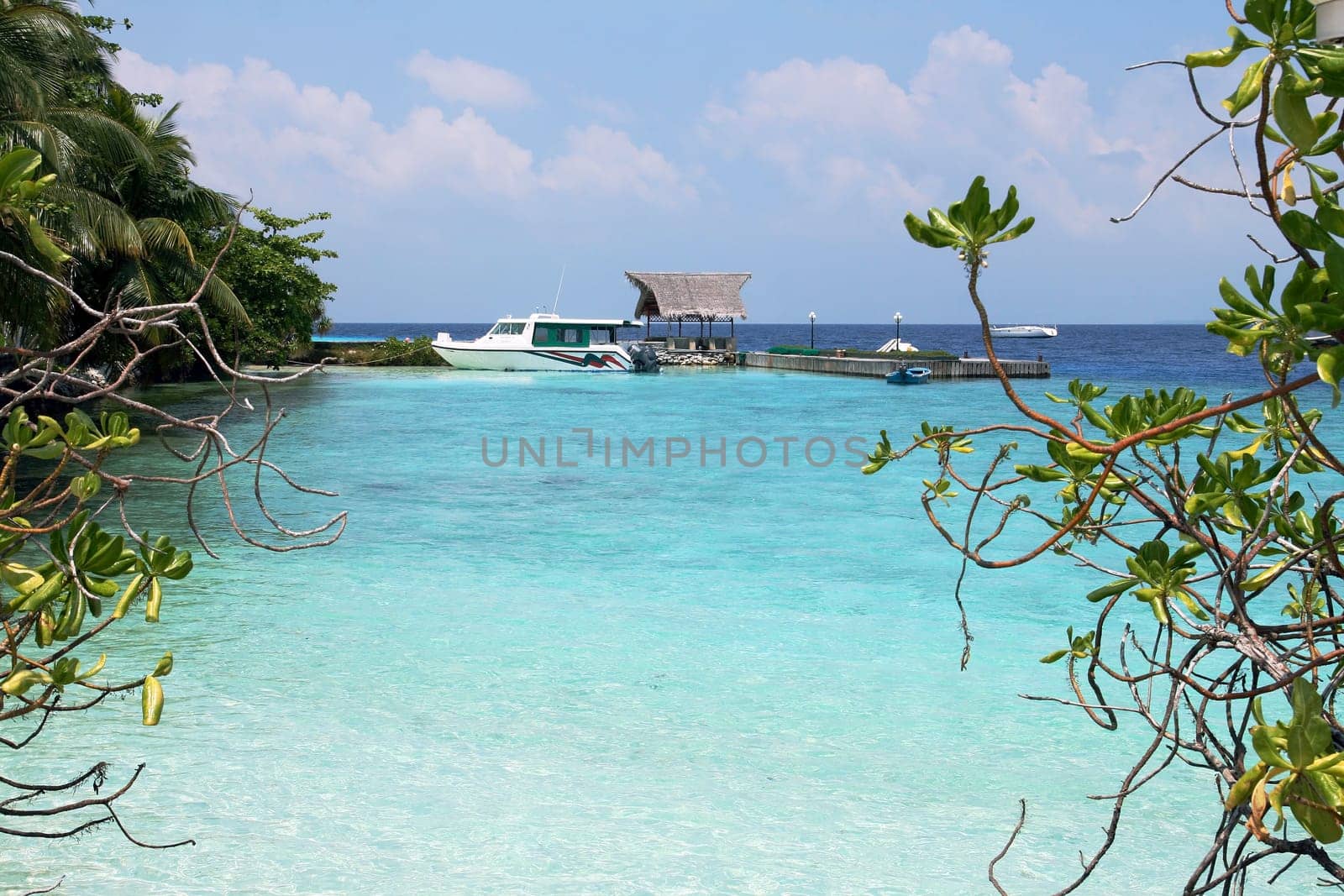 Clear warm water in the small harbour