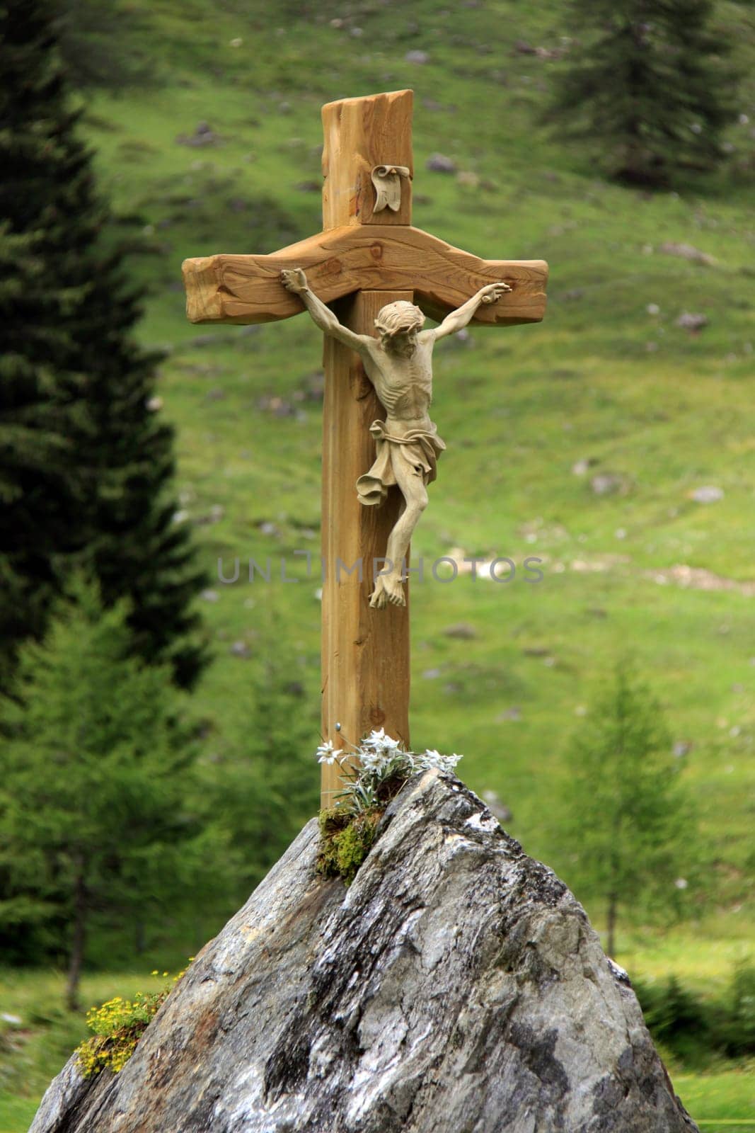 Alpine Savior