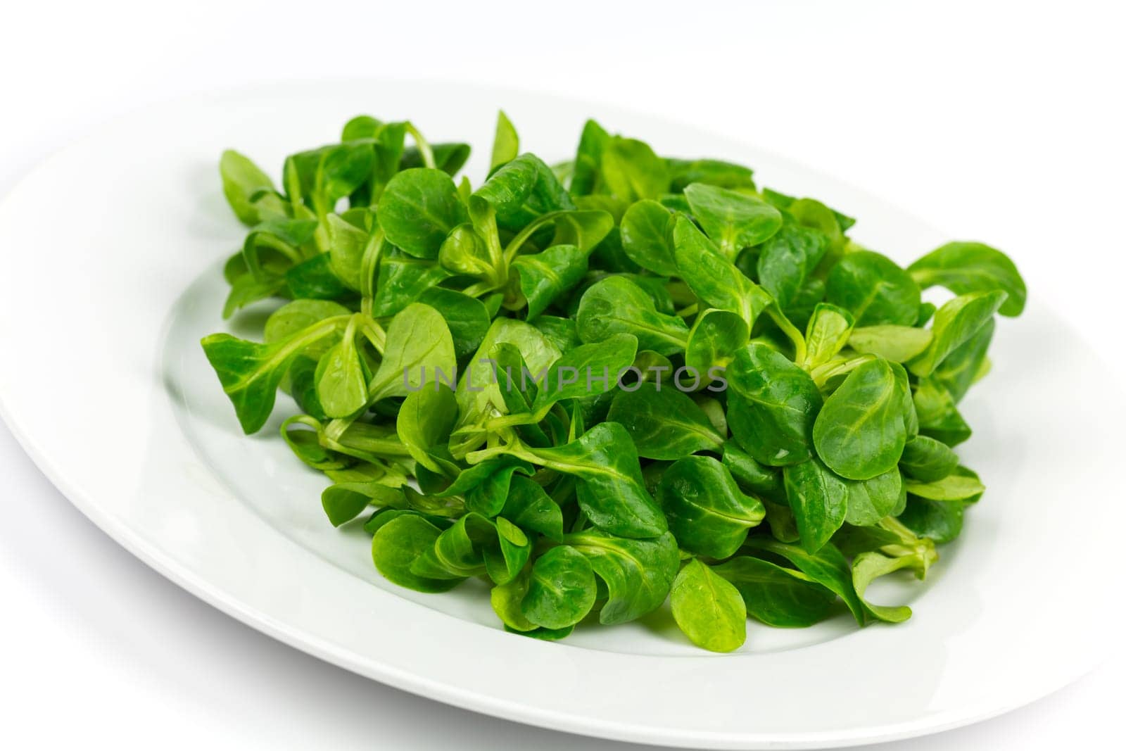 Fresh lamb's lettuce