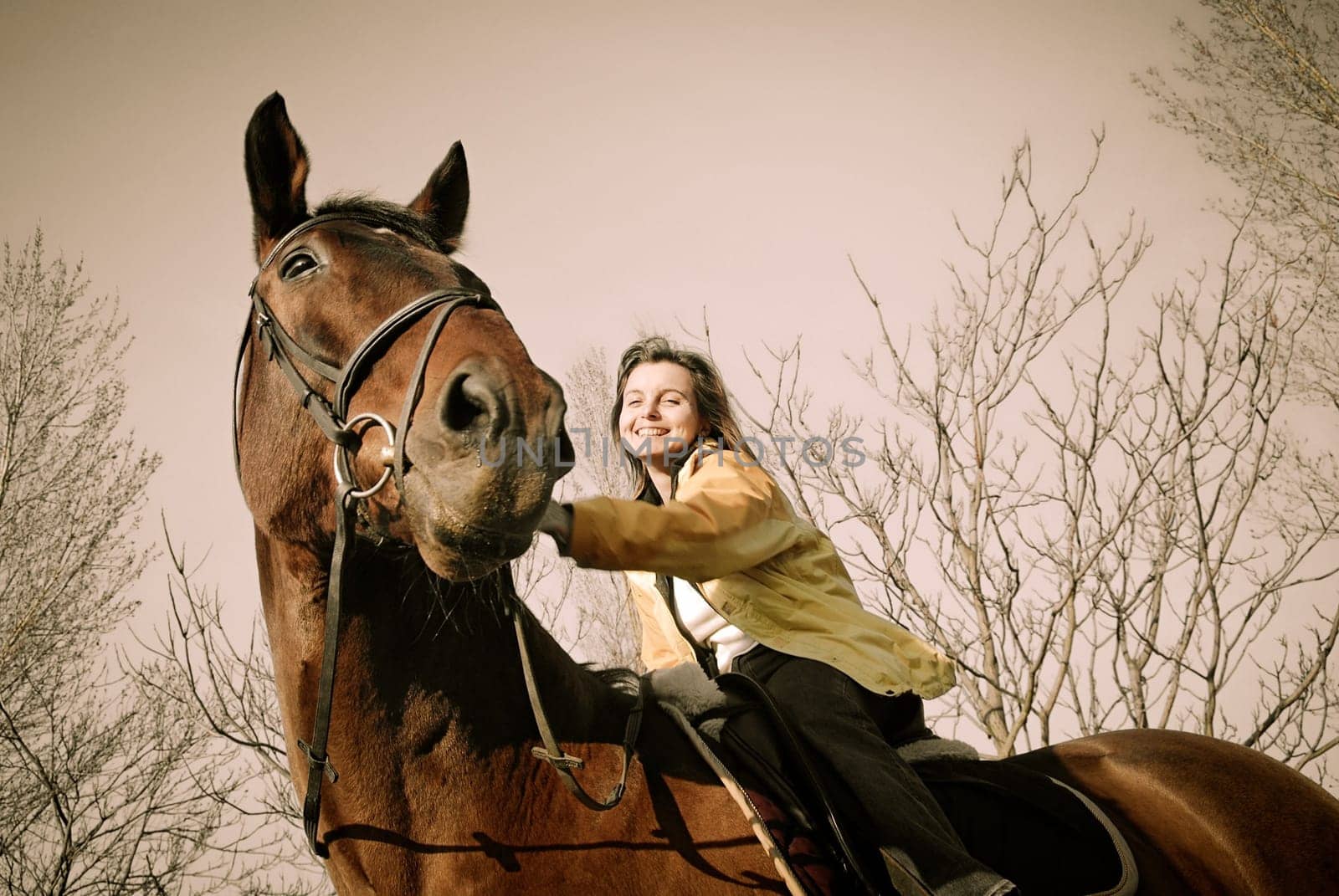 Young woman riding on big brown horse