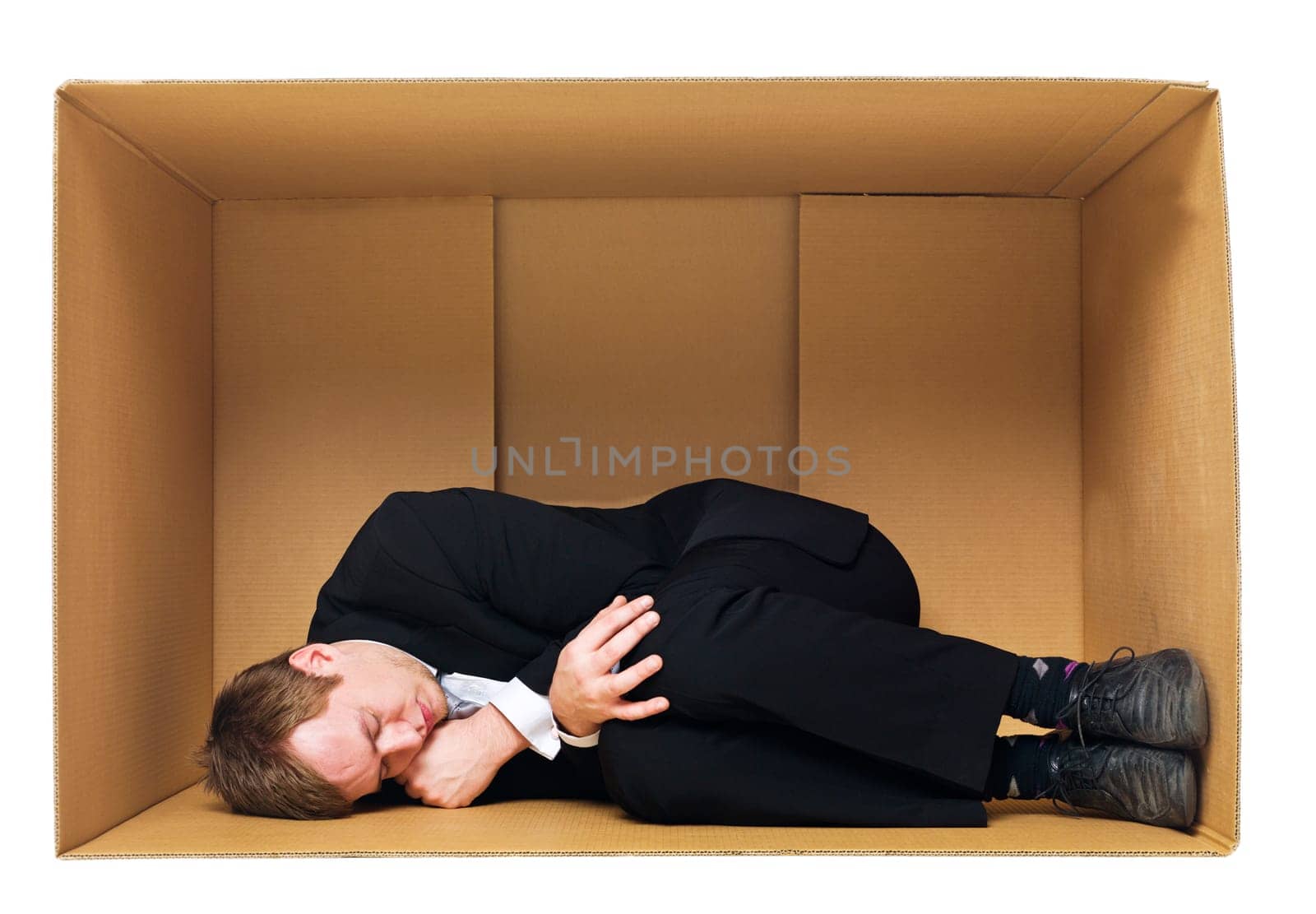 Sleeping in a cardboard box isolated on white background