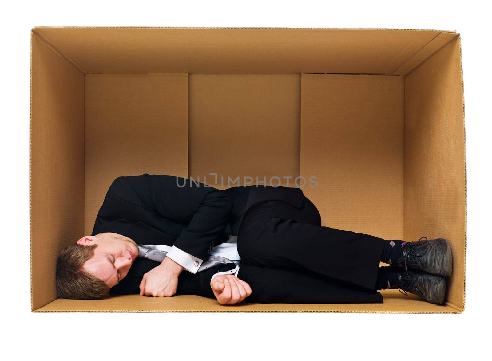 Sleeping in a cardboard box isolated on white background