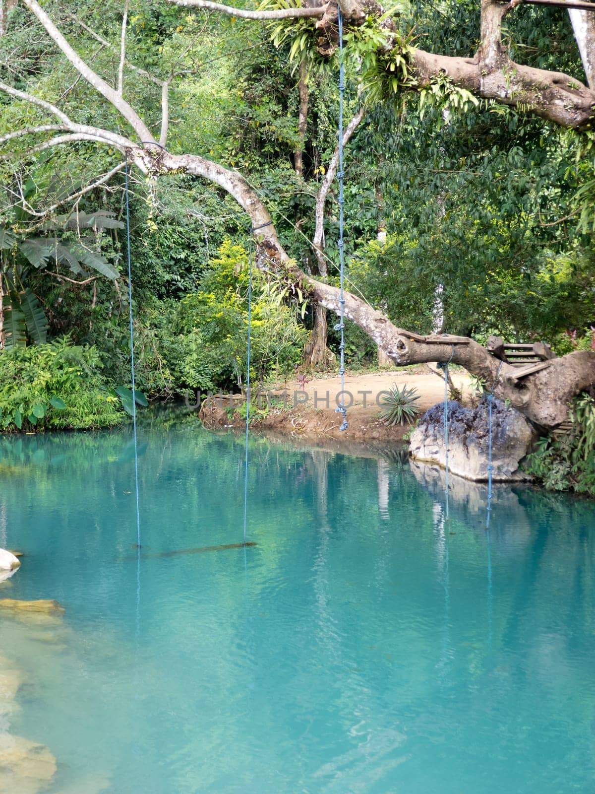 blue lagoon in Vang Vieng,Laos,clear water for swimming with tropical forest