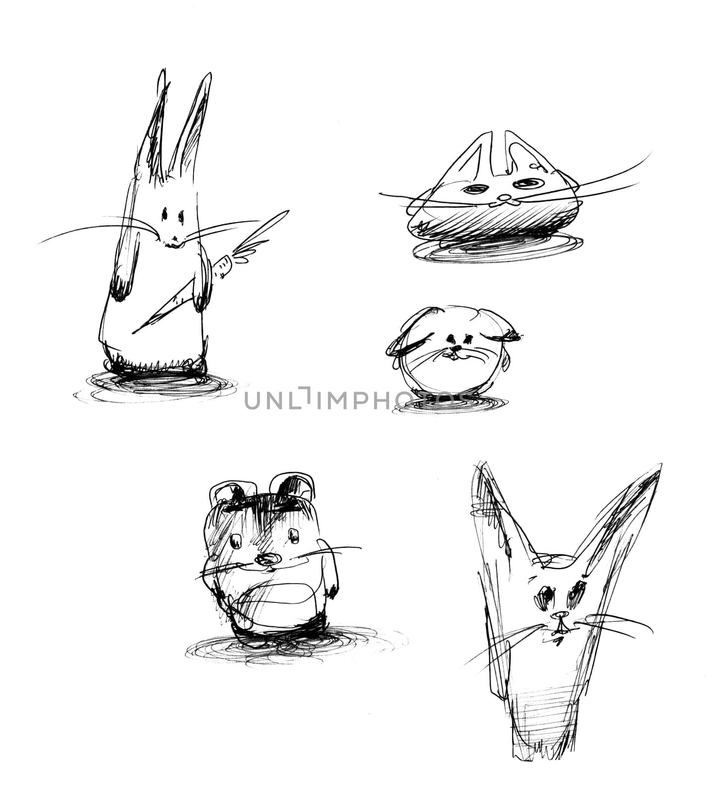 Set of animal. Freehand illustration on white background