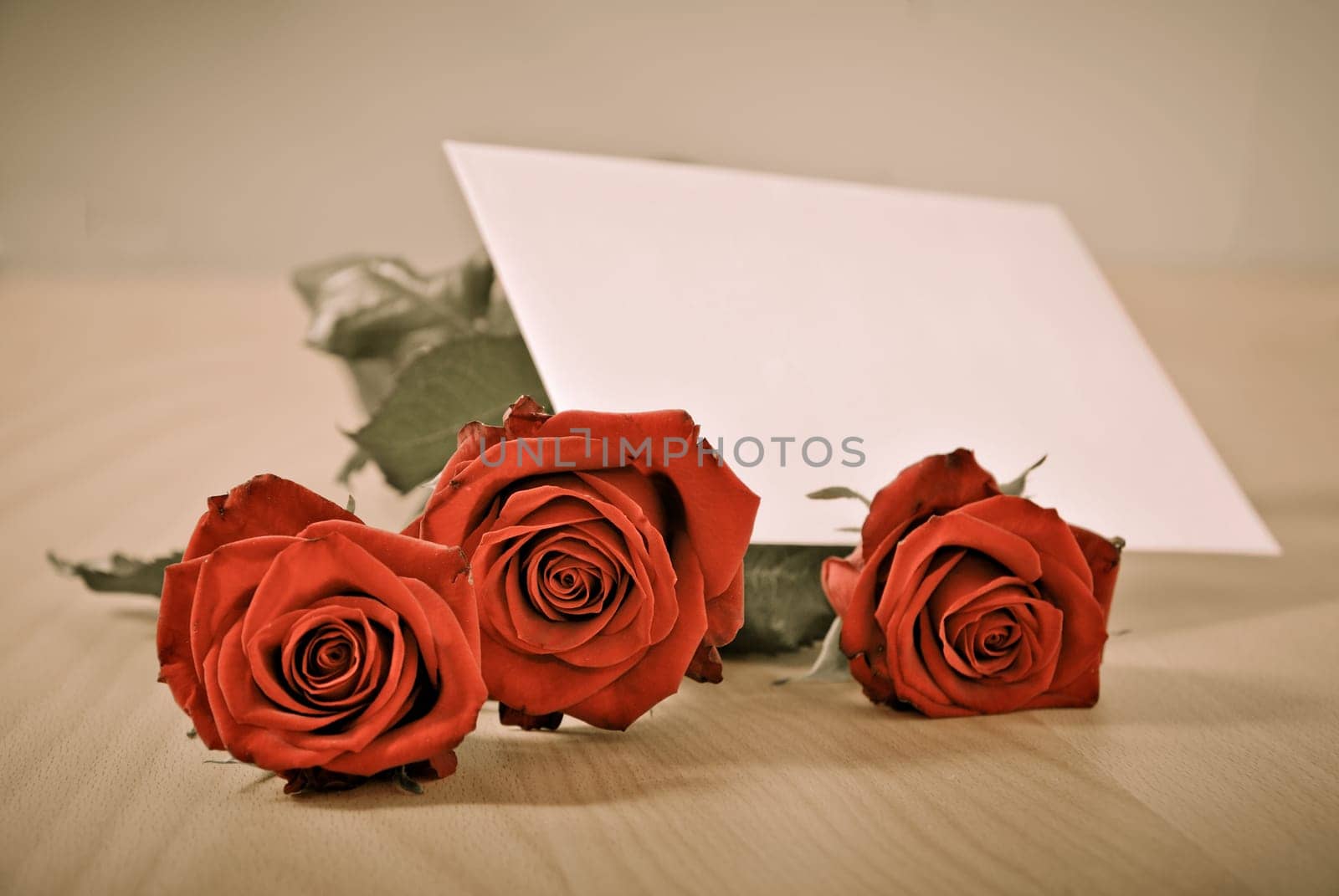 Love message on table - red roses with envelope