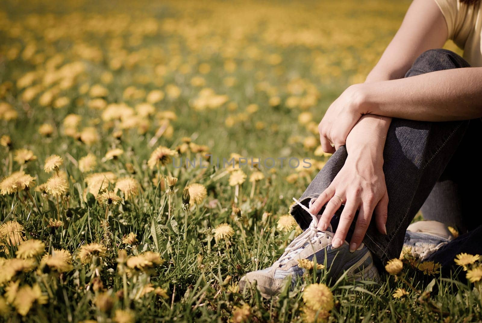 Torso of woman sitting in beautiful field of dandelions