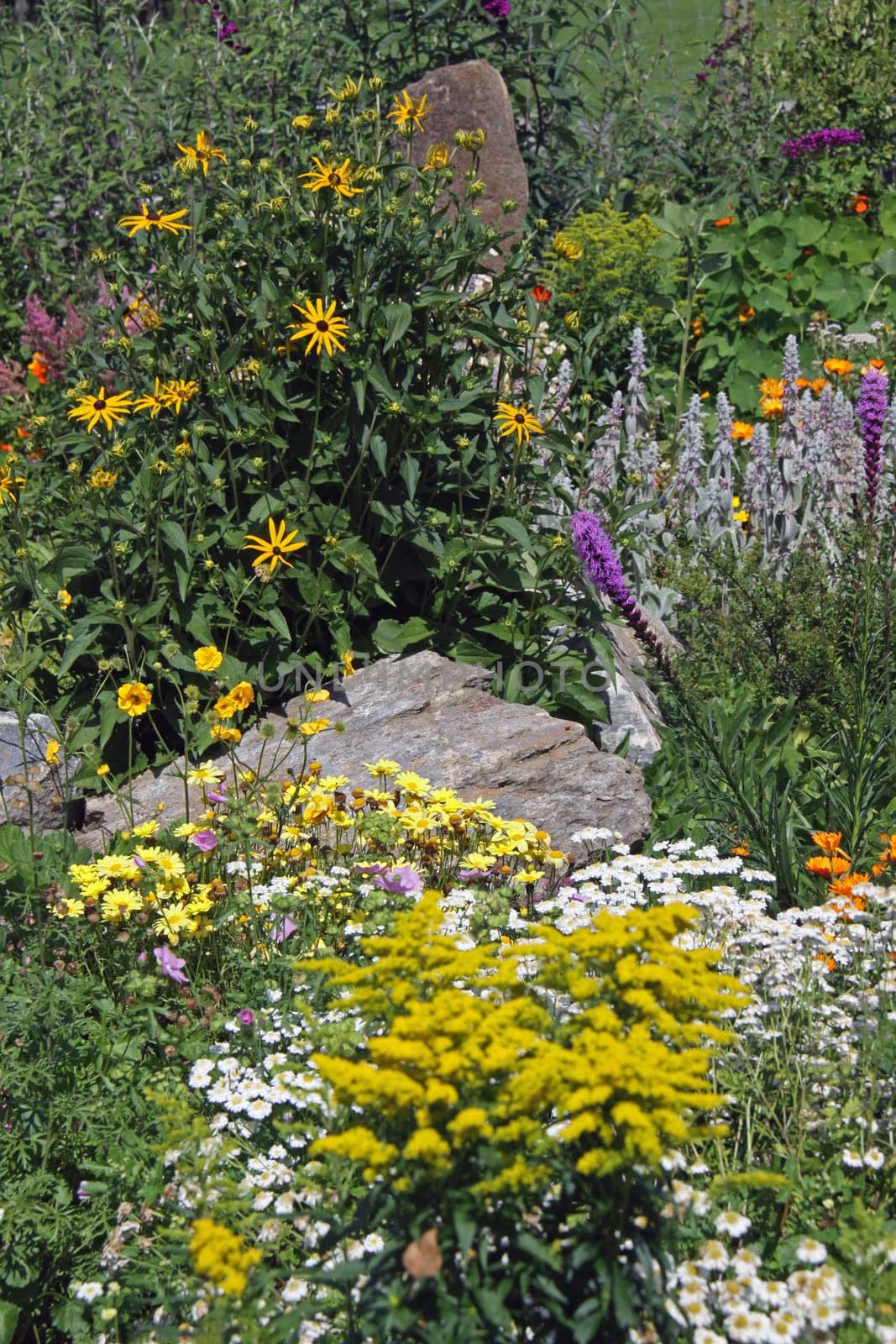 Cottage garden