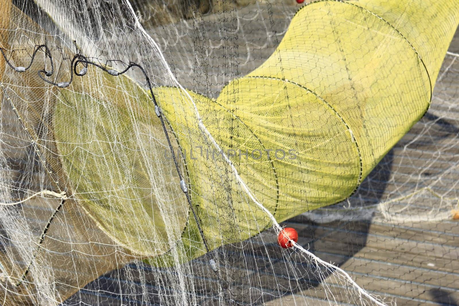 Fish trap