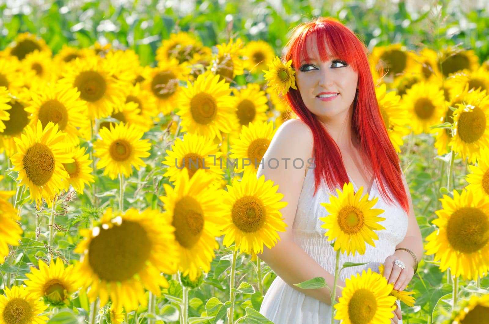 Young pretty woman on a sunflowers background