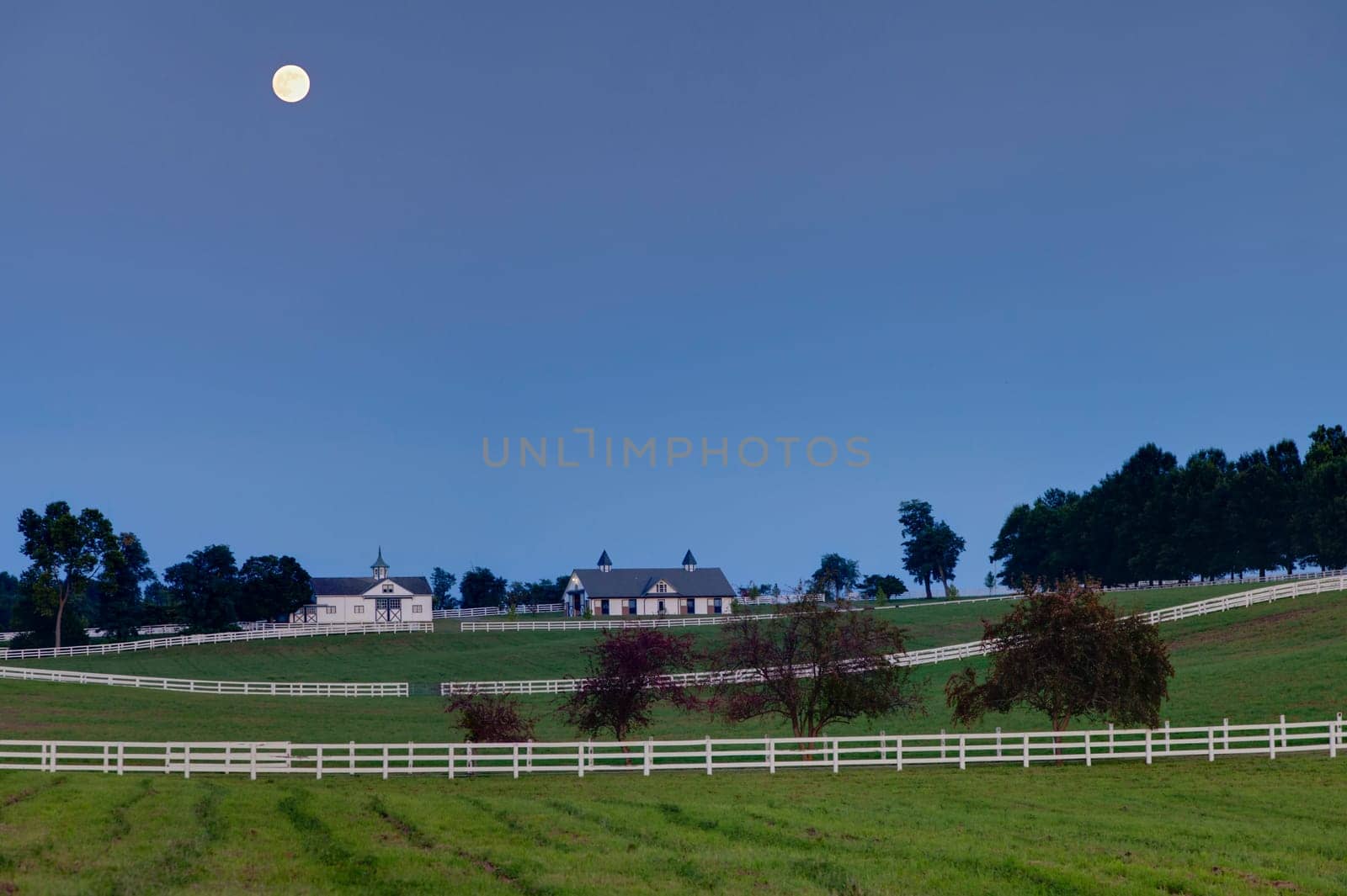 Night scene with the moon rising over a horse farm in Central Kentucky