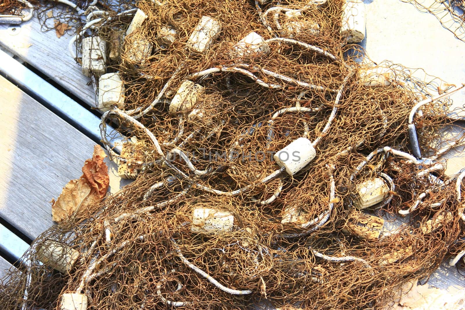 Fishing net