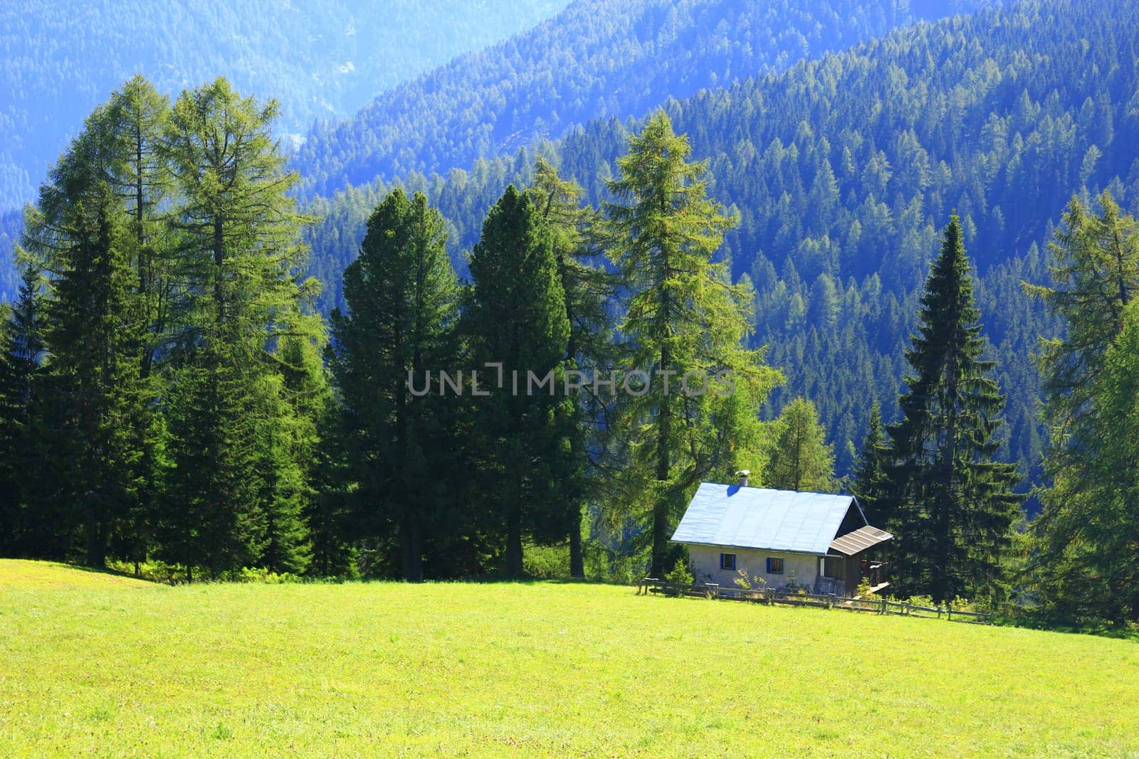 Alpine hut