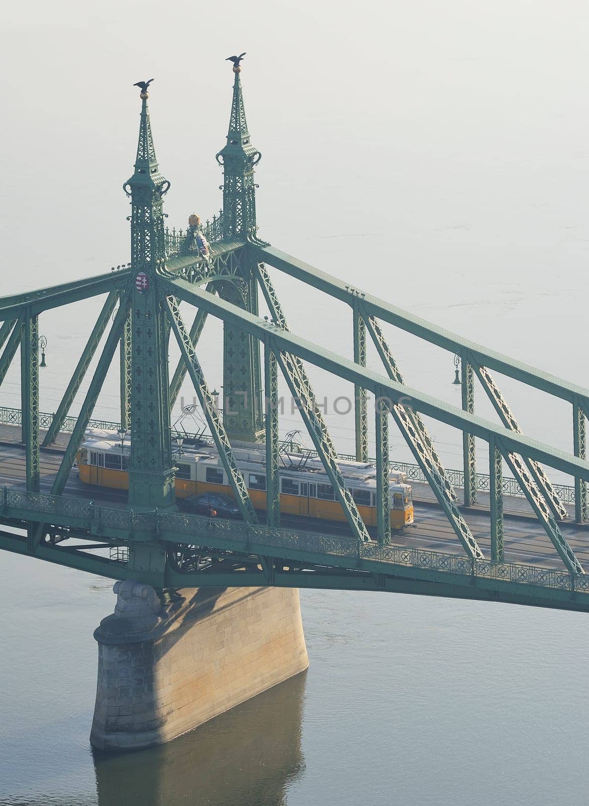 View of Budapest's Liberty Bridge in Hungary in the morning