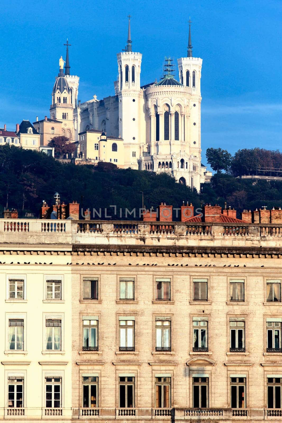 Fourviere basilica and building in Lyon city