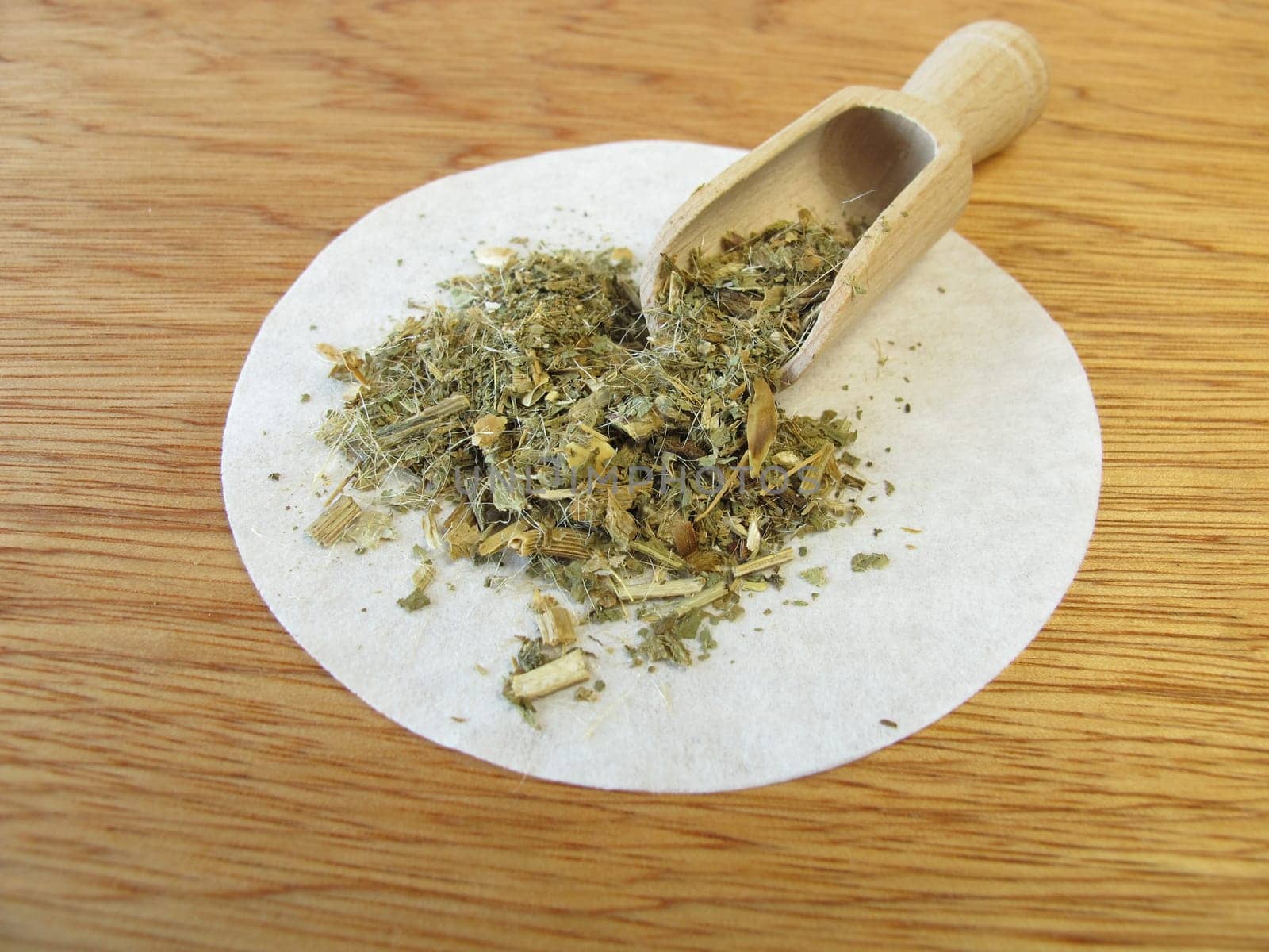 St. Benedict's Herb,Cnici benedicti herba