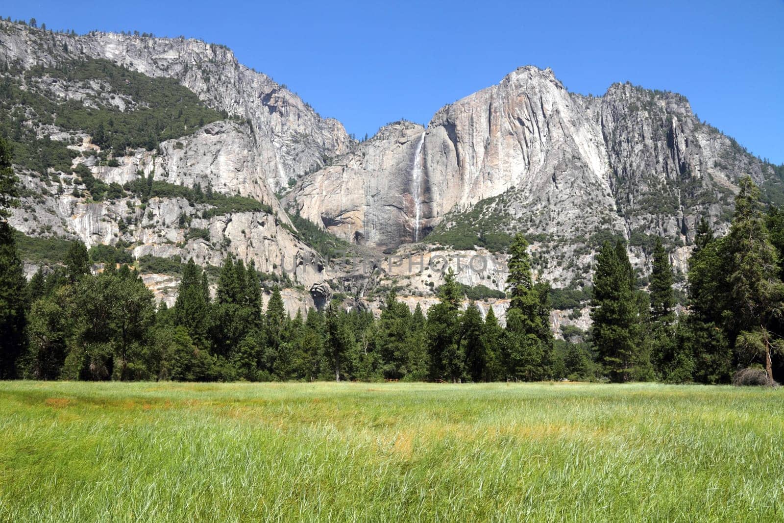 Yosemite National Park, California, USA