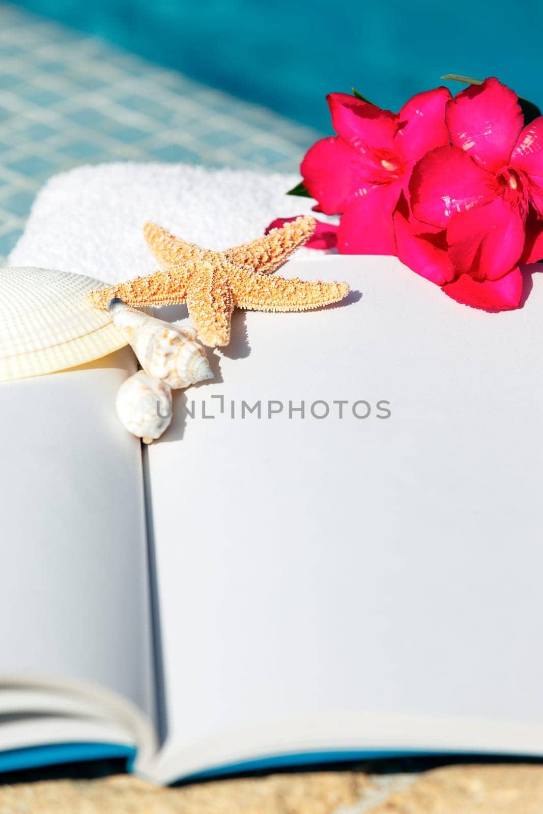 book, starfish, shellfish and white towel beside a pool