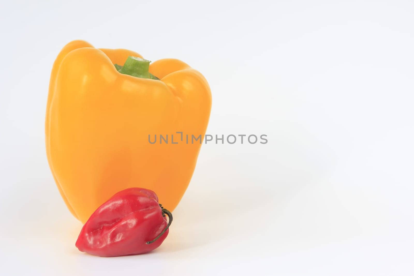 Habanero Chili and Sweet Peppers
