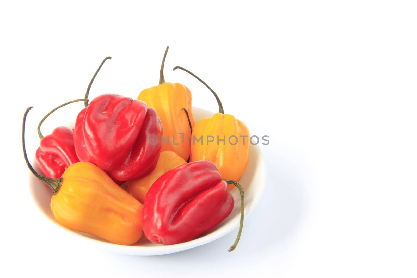 Habanero Chilies