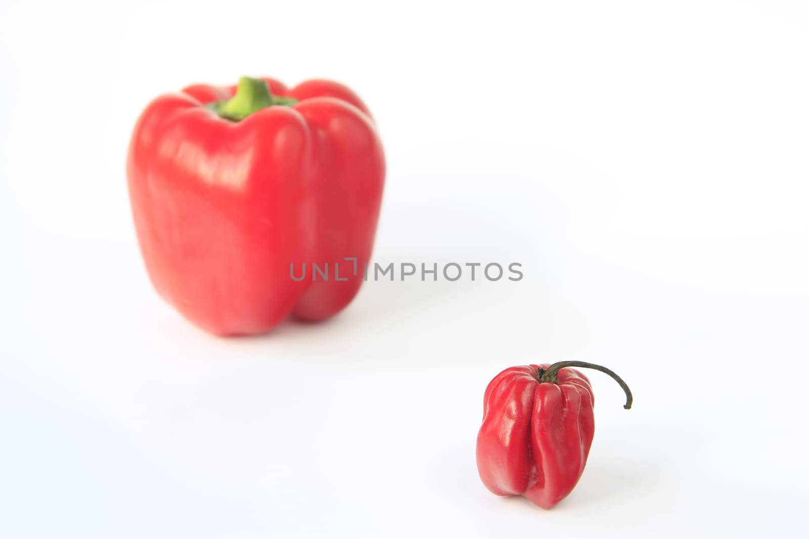 red habanero chili and sweet pepper