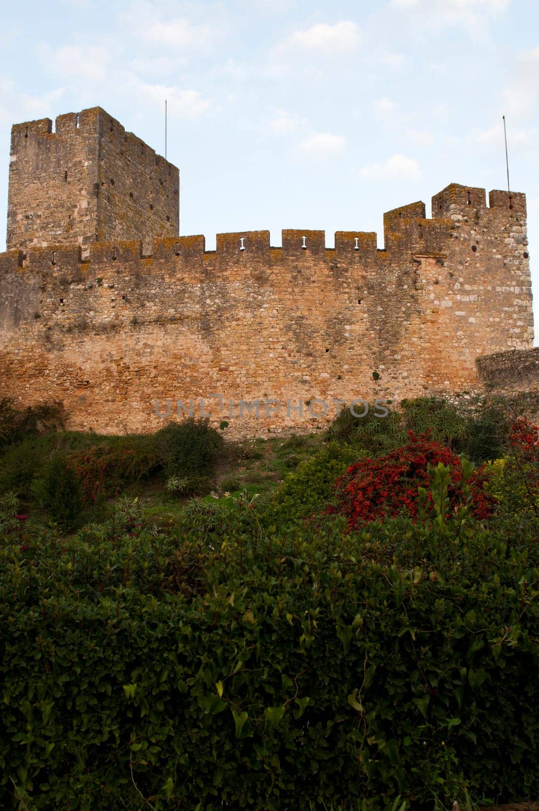 Templar Castle fortress at the Convent of Christ in Tomar, Portugal (build in the 12th century, UNESCO World Heritage)