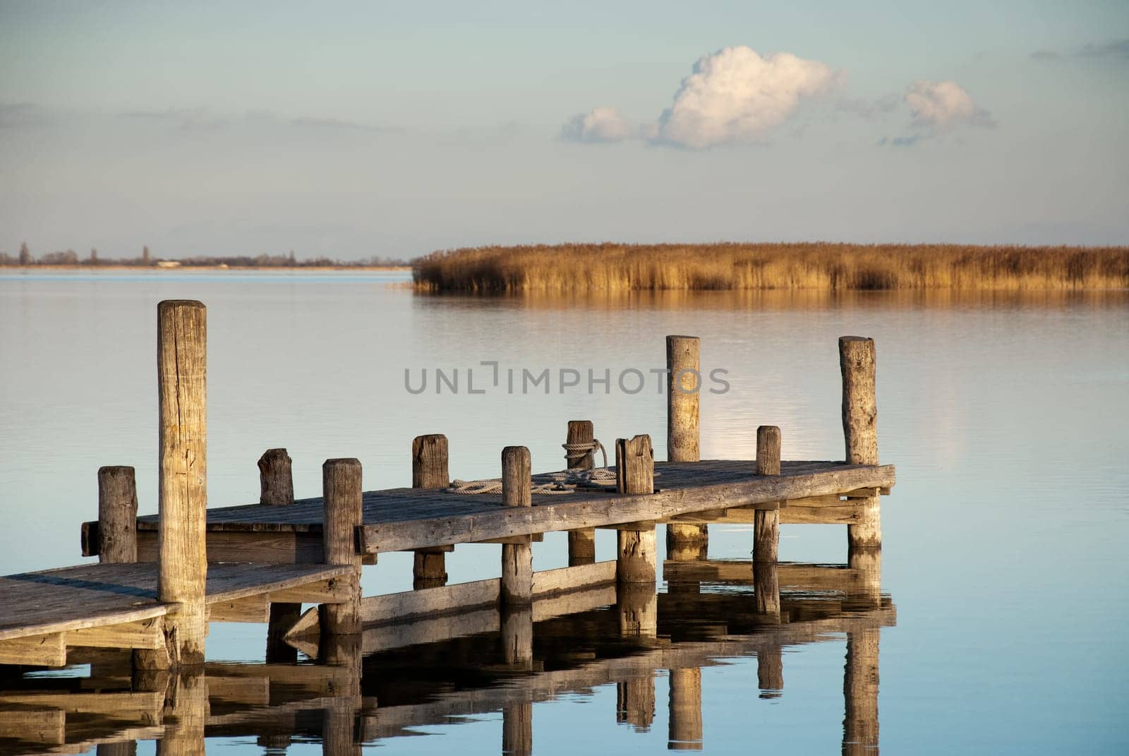 Wooden walkway on the shore of a lake