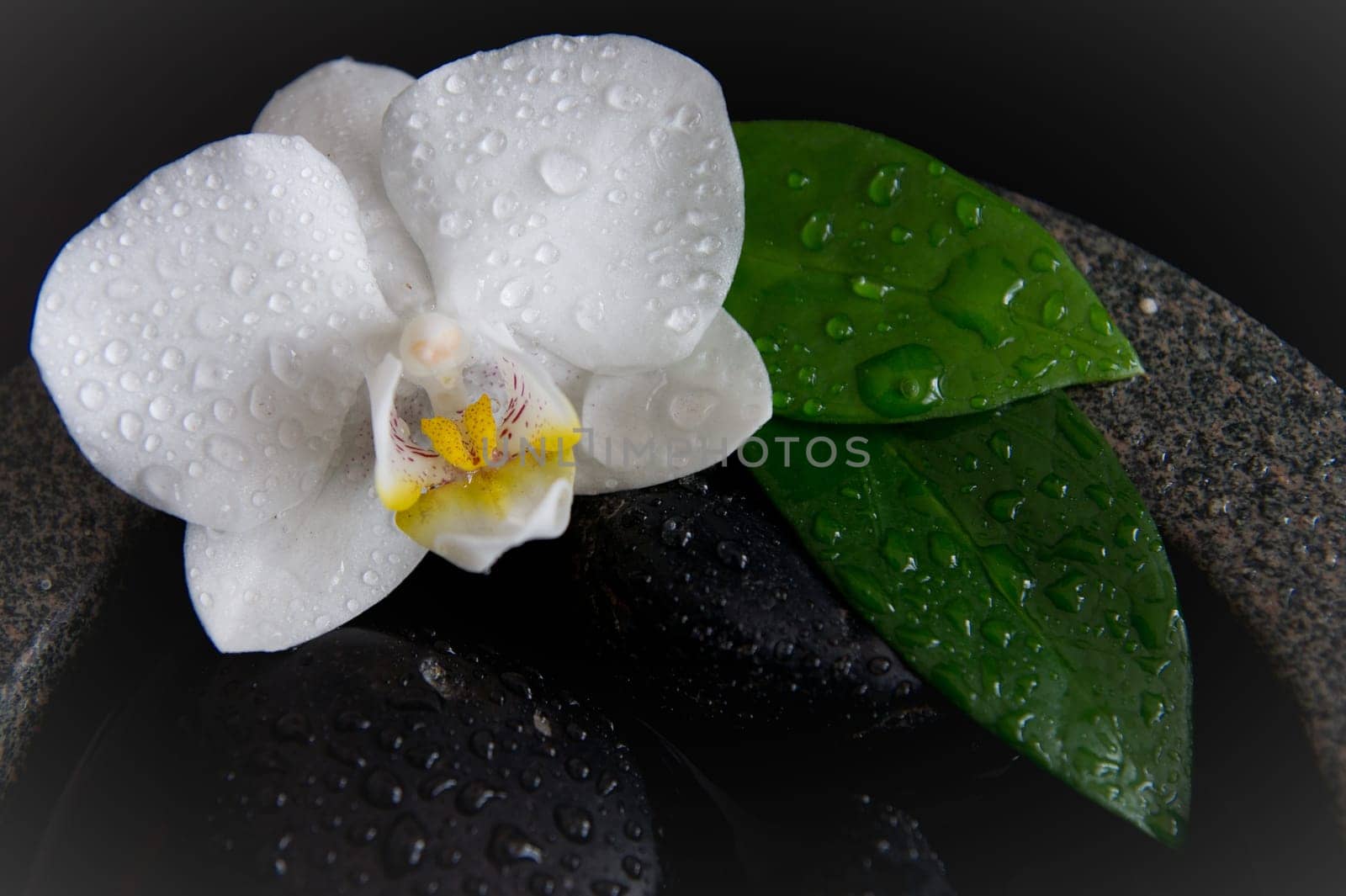 SONY DSC