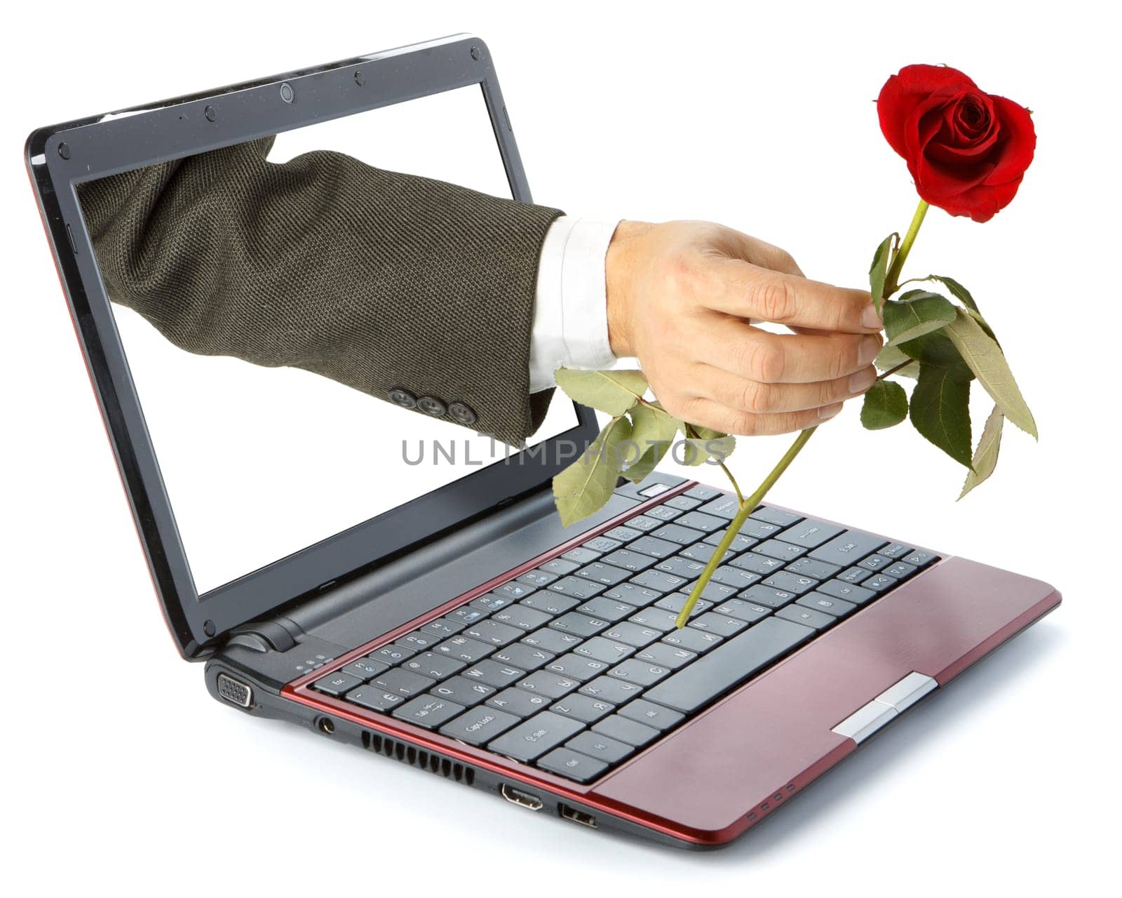 Hand with rose come out from a screen of a laptop computer on a white background