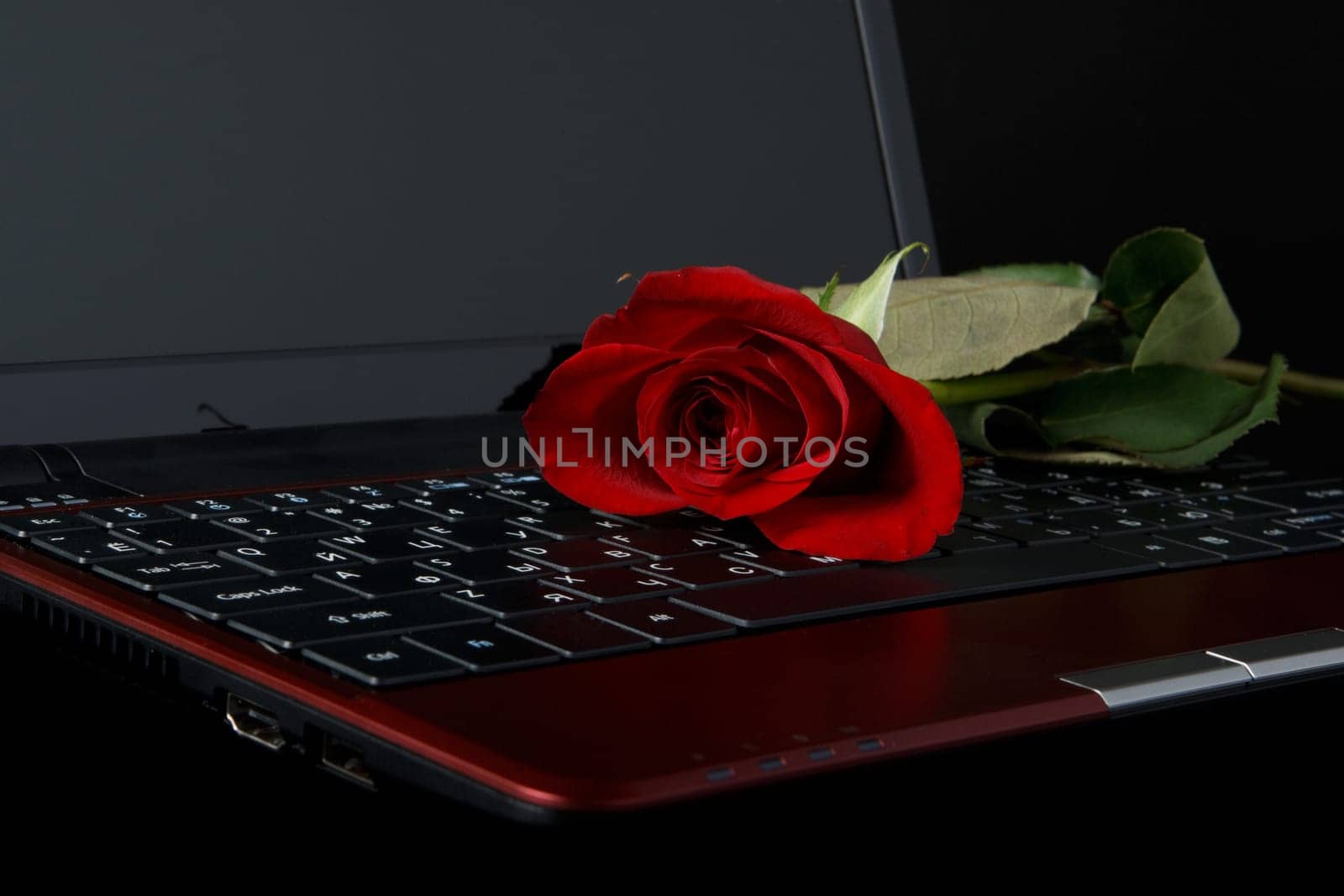Modern notebook and rose on a black background