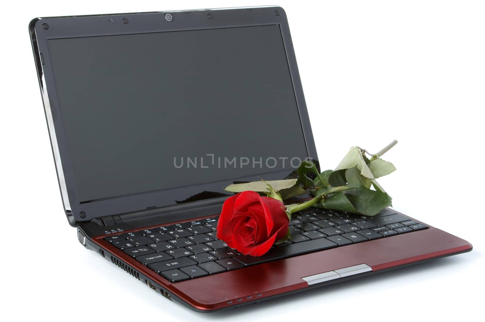 Modern notebook and flower on a white background