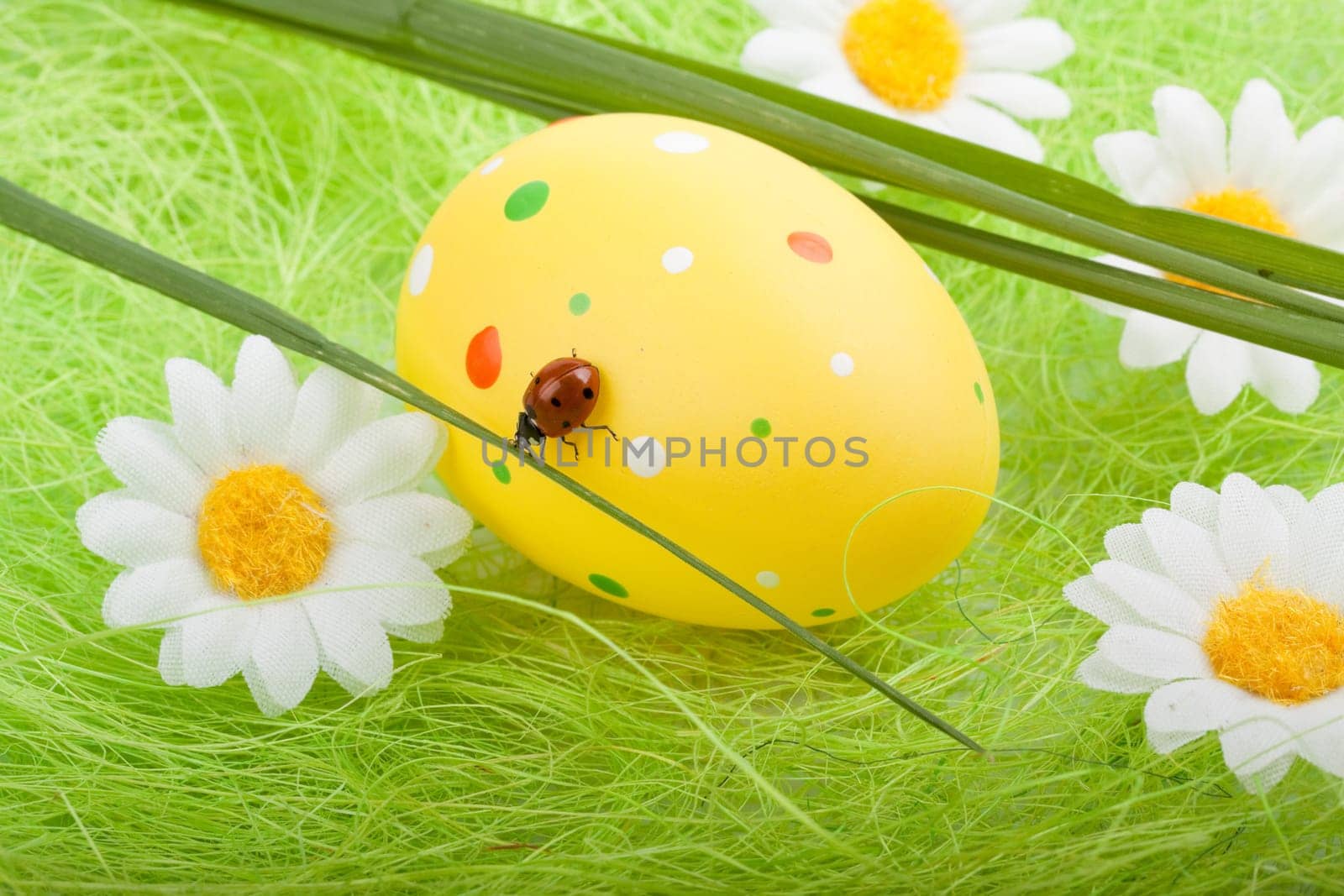 Decoration with easter egg, green grass and ladybug. Close up.