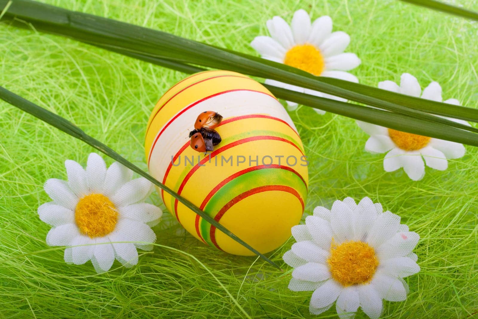 Decoration with easter egg, green grass and ladybug. Close up.