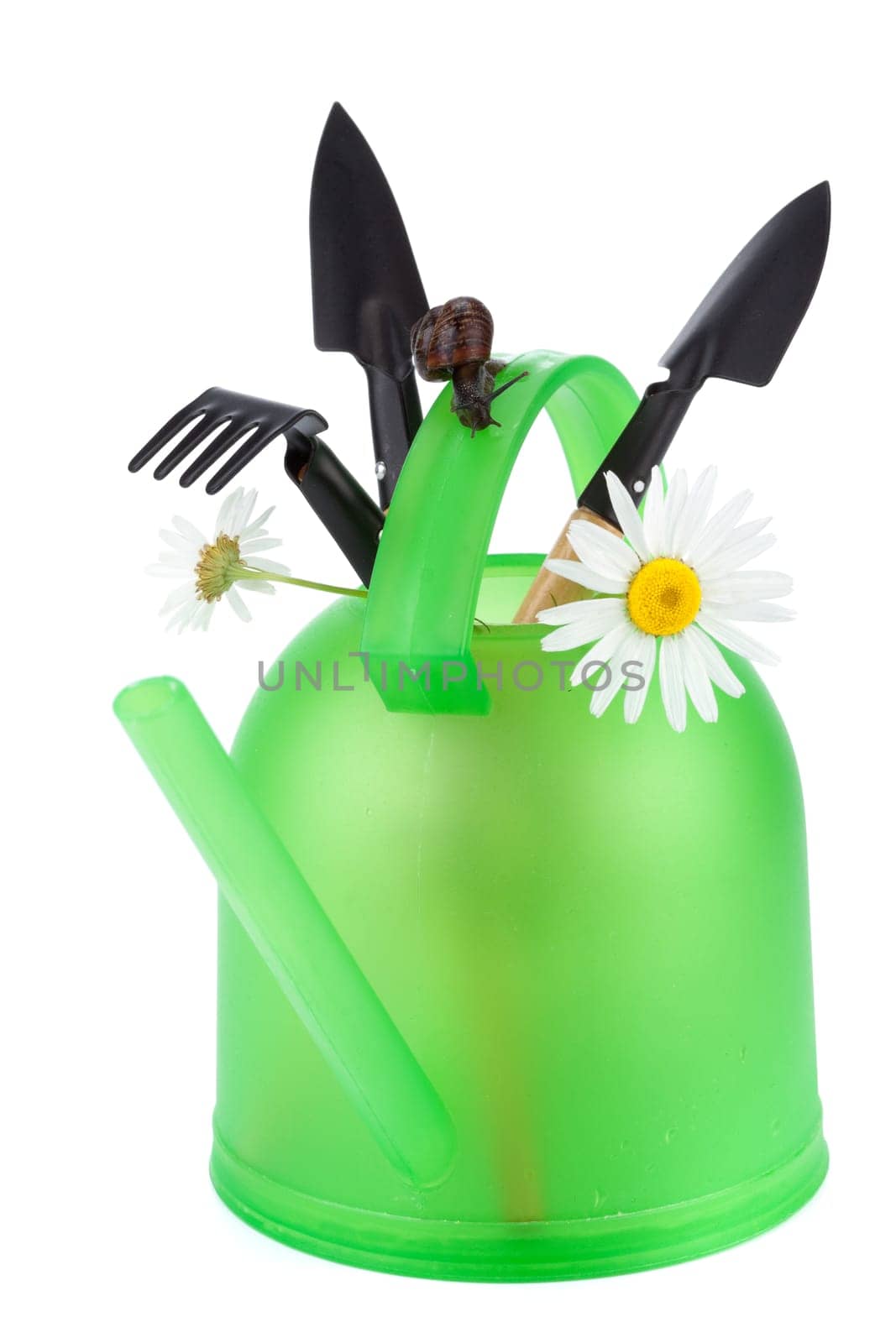 Watering can garden snail and tools on a white background