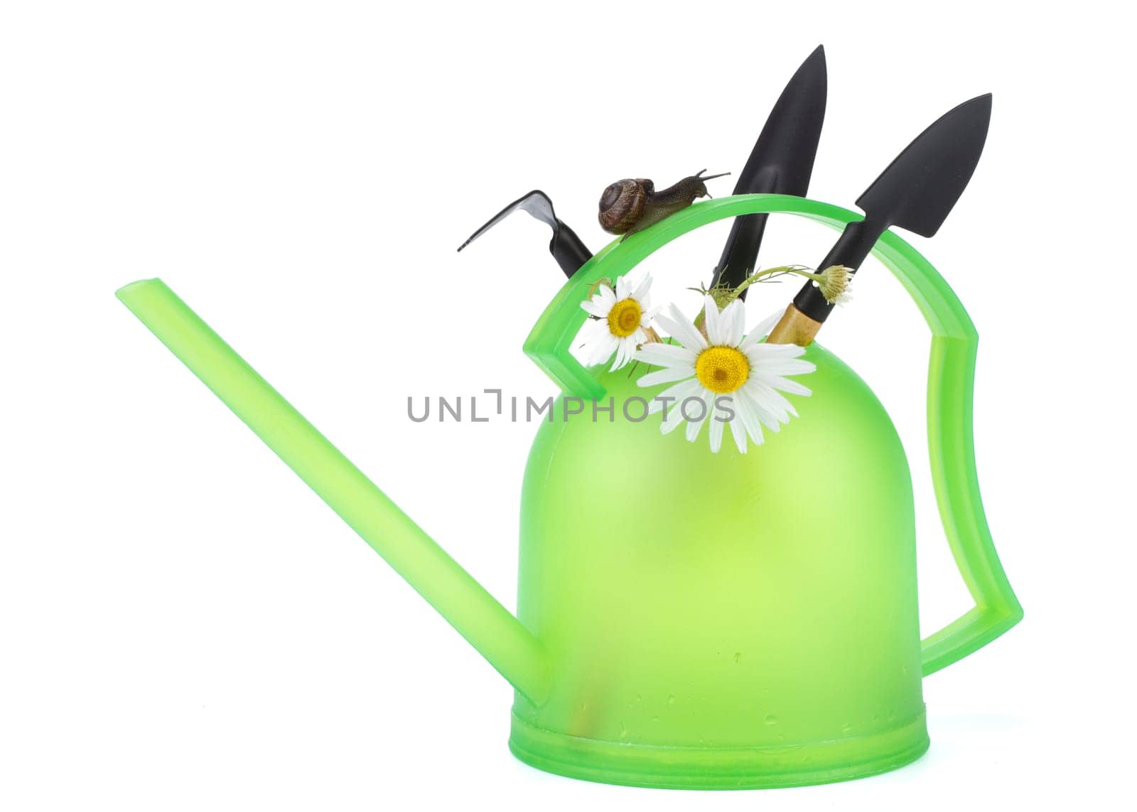 Watering can garden snail and tools on a white background