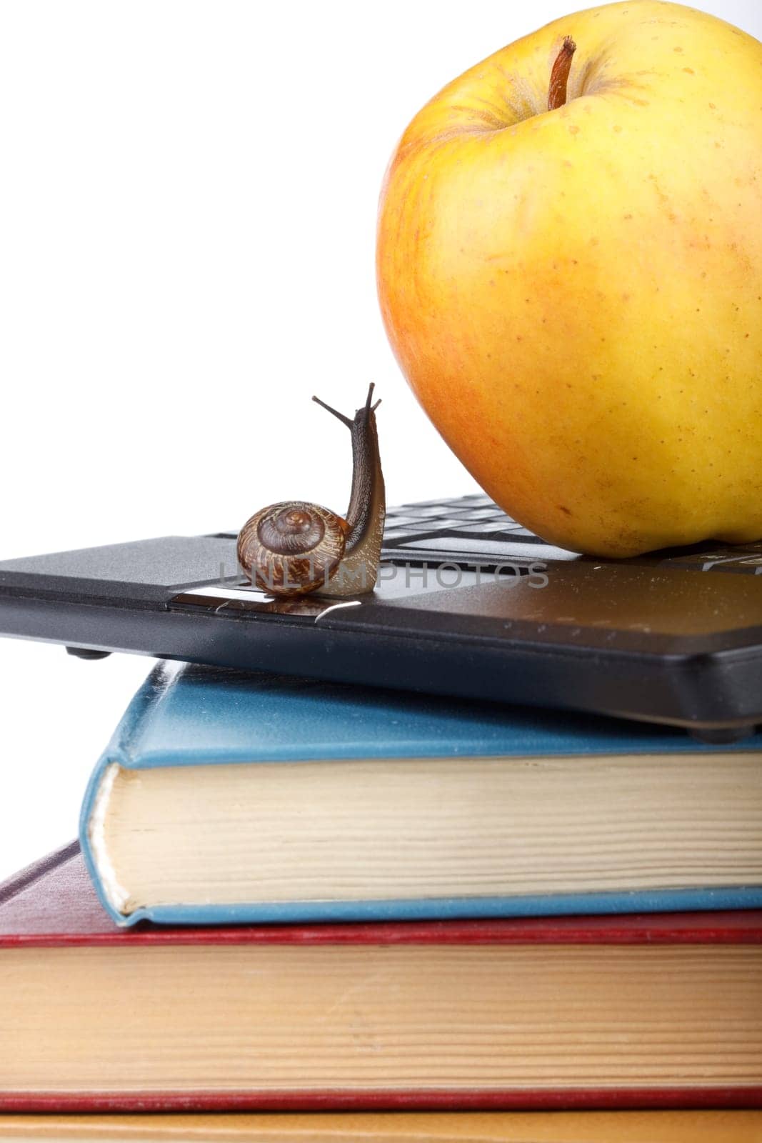 The garden snail, notebook, books and apple on a white background. Back to school.