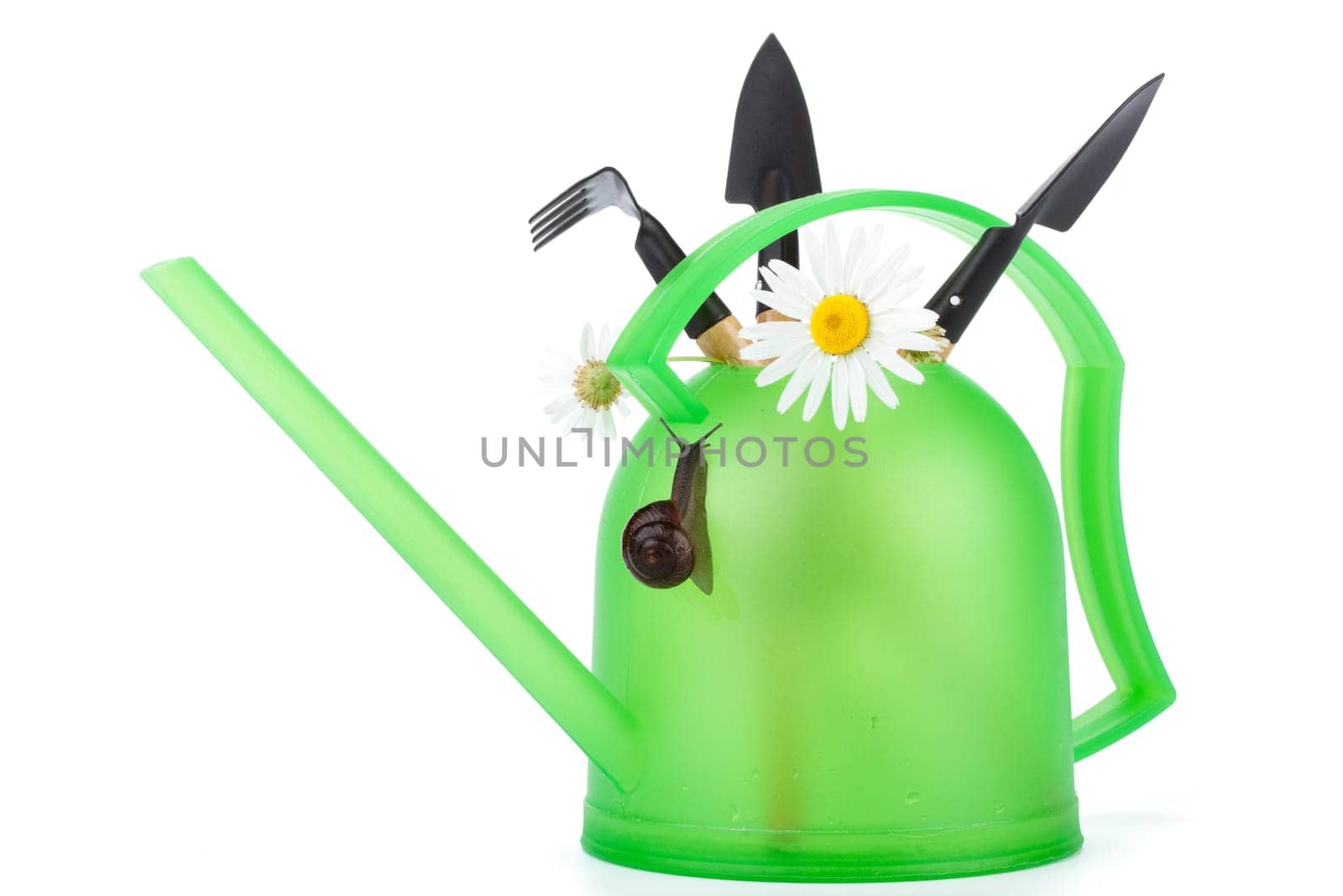 Watering can garden snail and tools on a white background