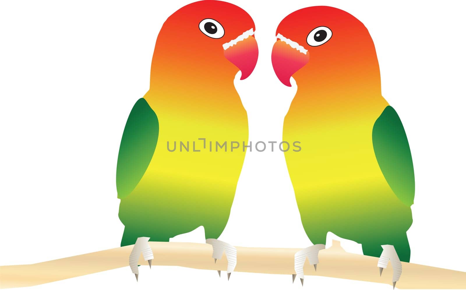 Two Lovebirds perched on a tree branch suitable for Valentines Day Card