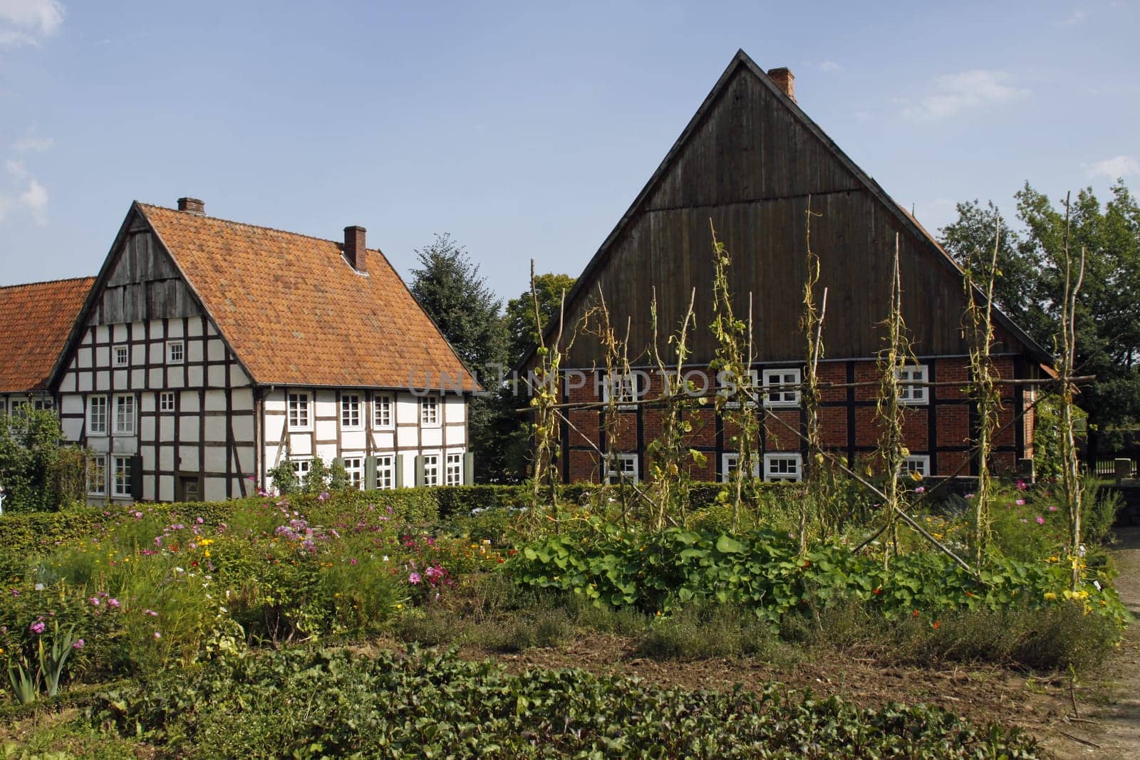 Cottage garden