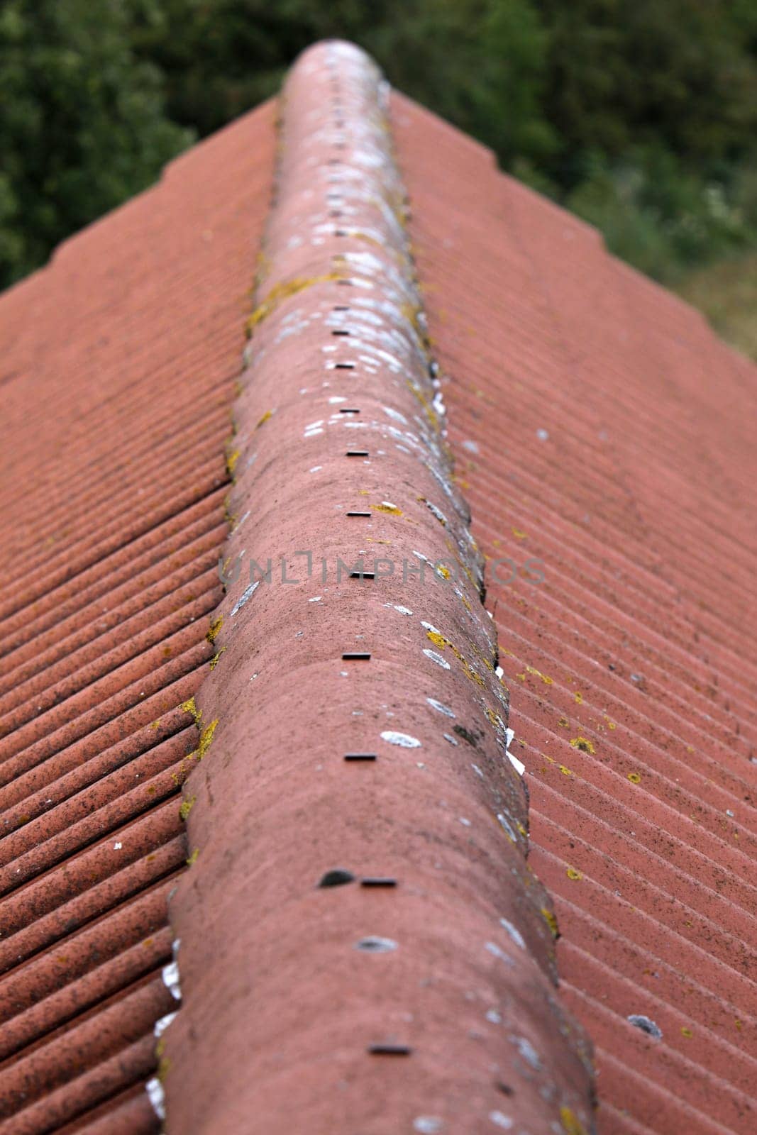 Roof ridge