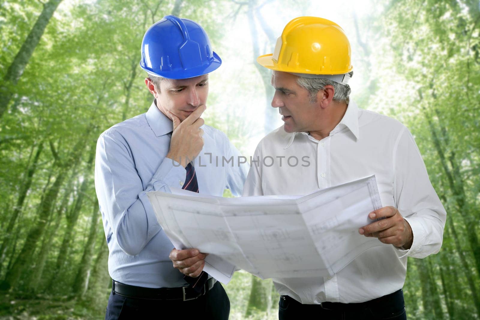 architect engineer two expertise team plan talking hardhat forest jungle trees
