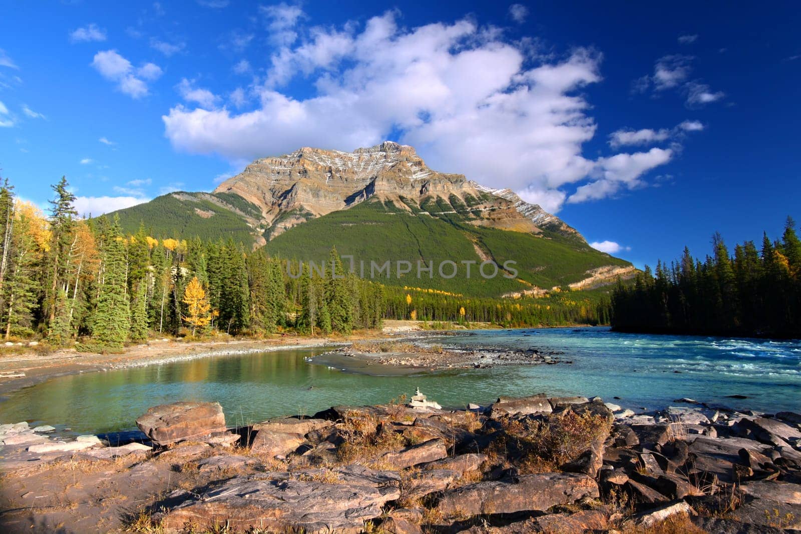 Athabasca River flows through the valley below Mount Kerkeslin of Jasper National Park in Canada.