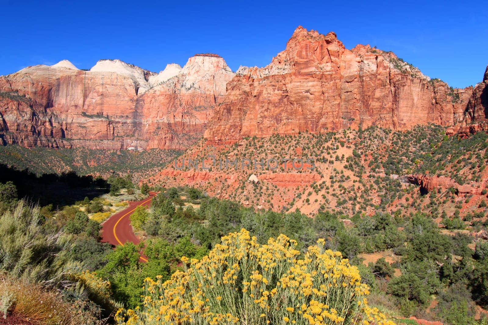 Landscape scenery of Zion National Park in southwest Utah.