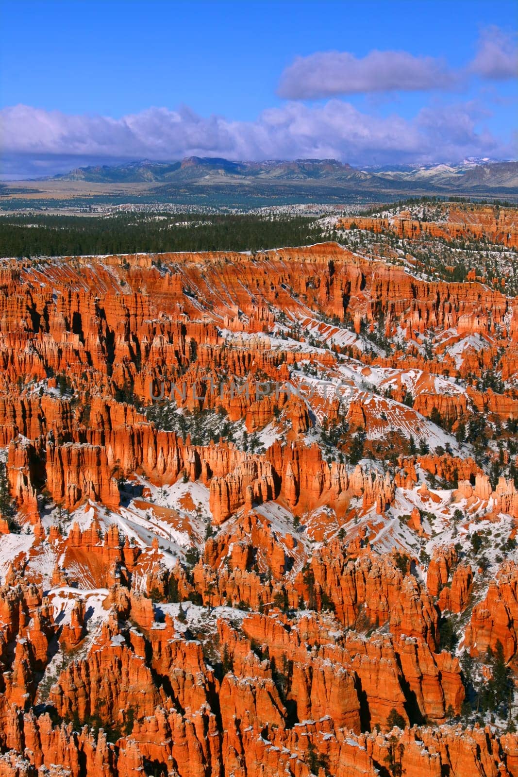 Bright orange hoodoos of Bryce Canyon National Park in Utah.