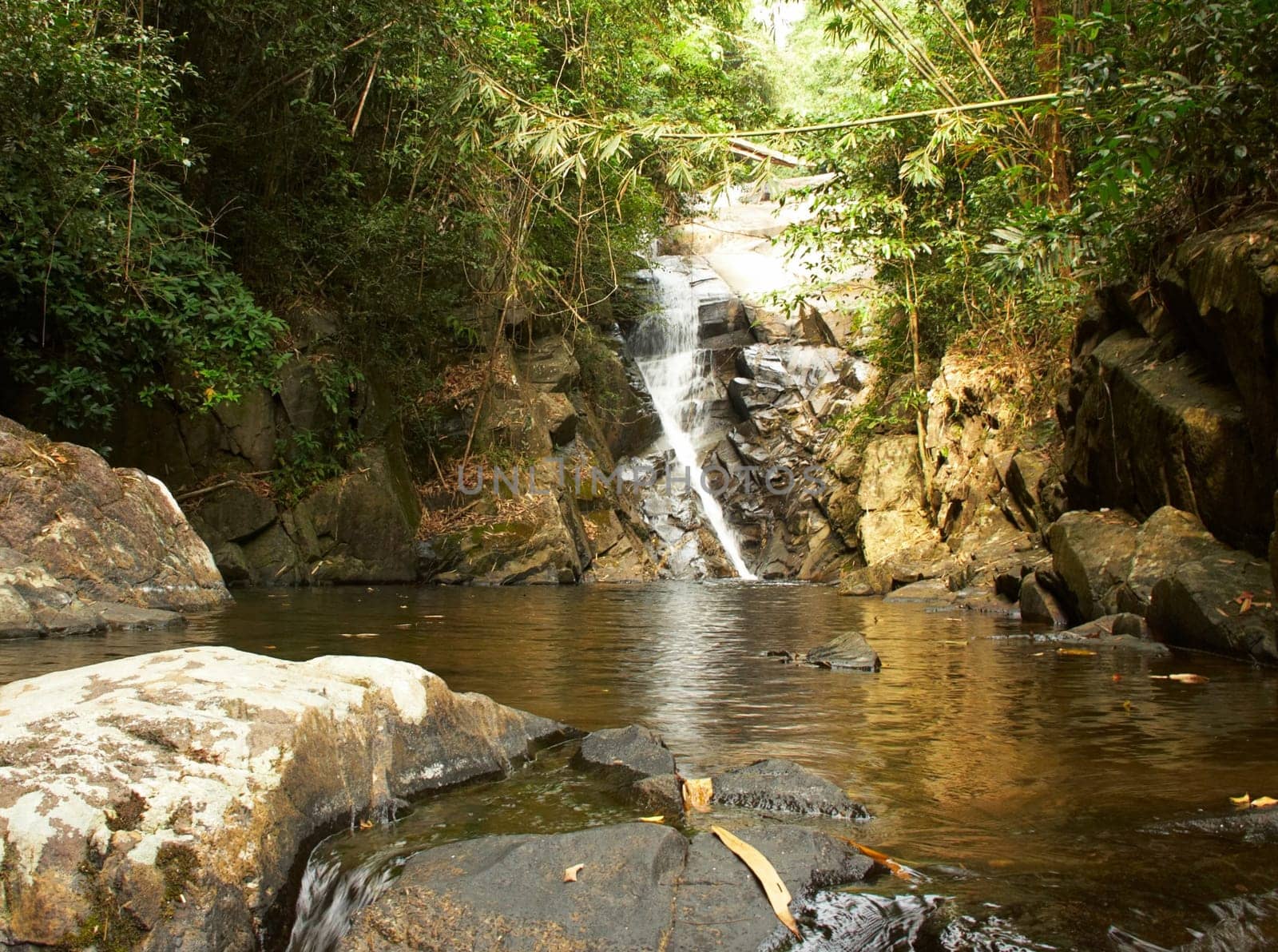 Amazing waterfall in the wet green rainforest.