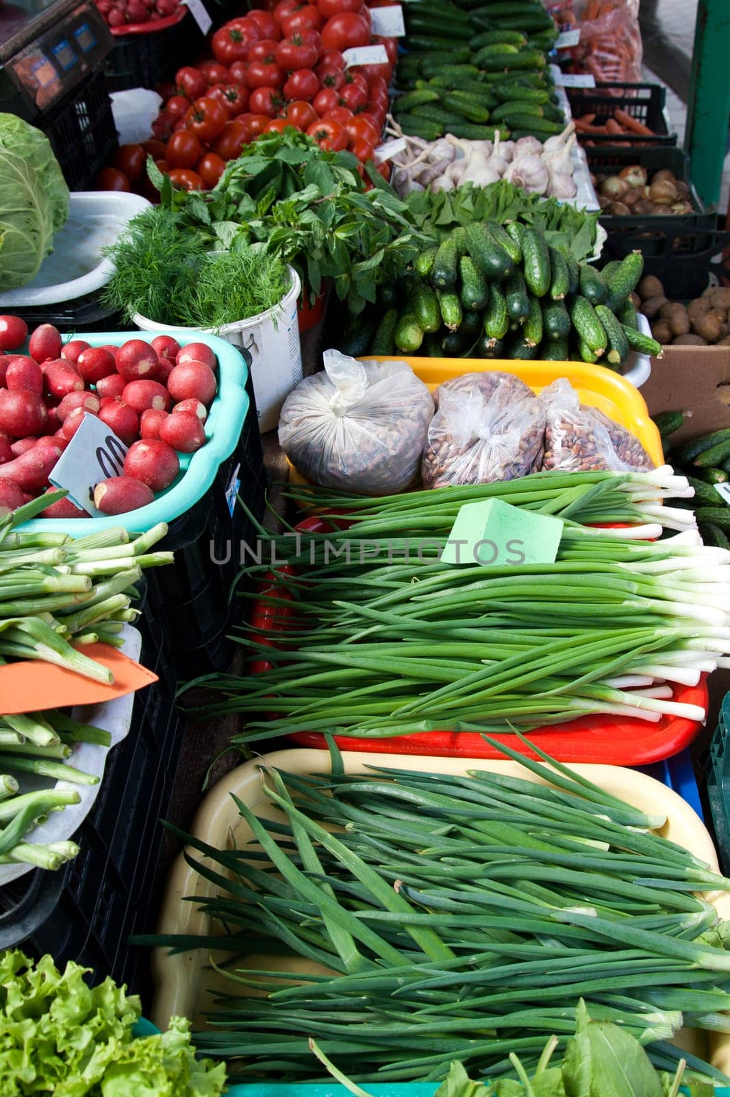 Different kinds of vegetables at an outdoor farmer market