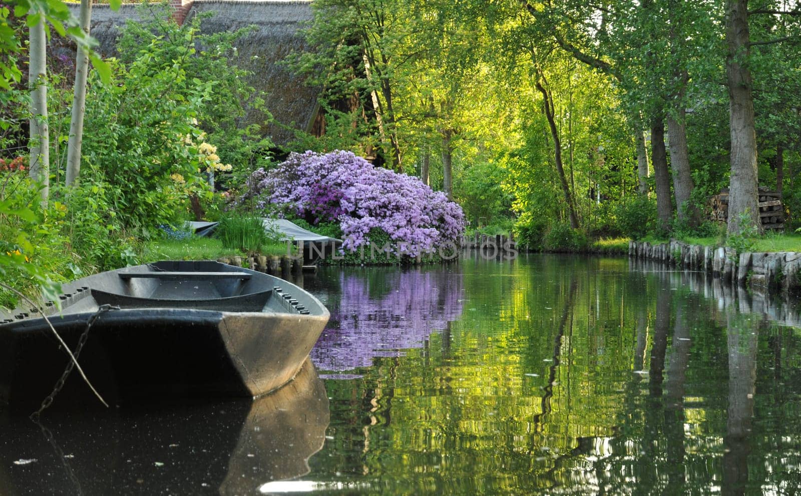 The Spreewald near Lehde