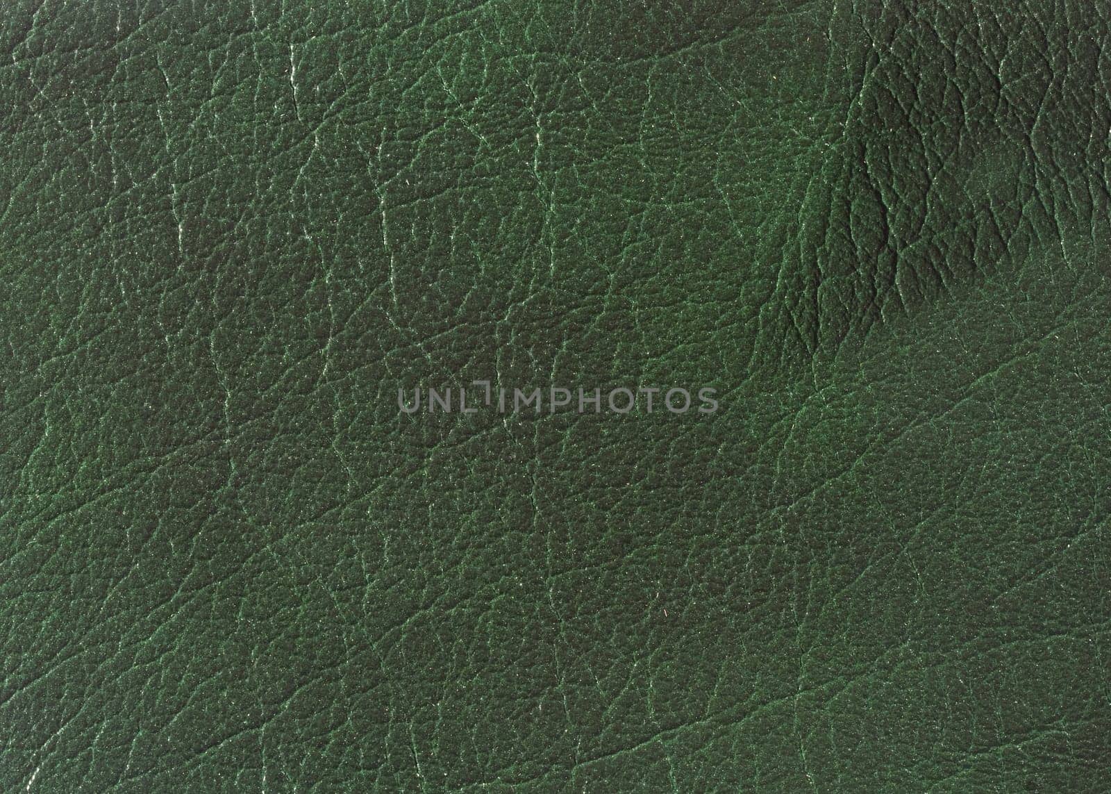 Natural qualitative green leather texture. Close up.