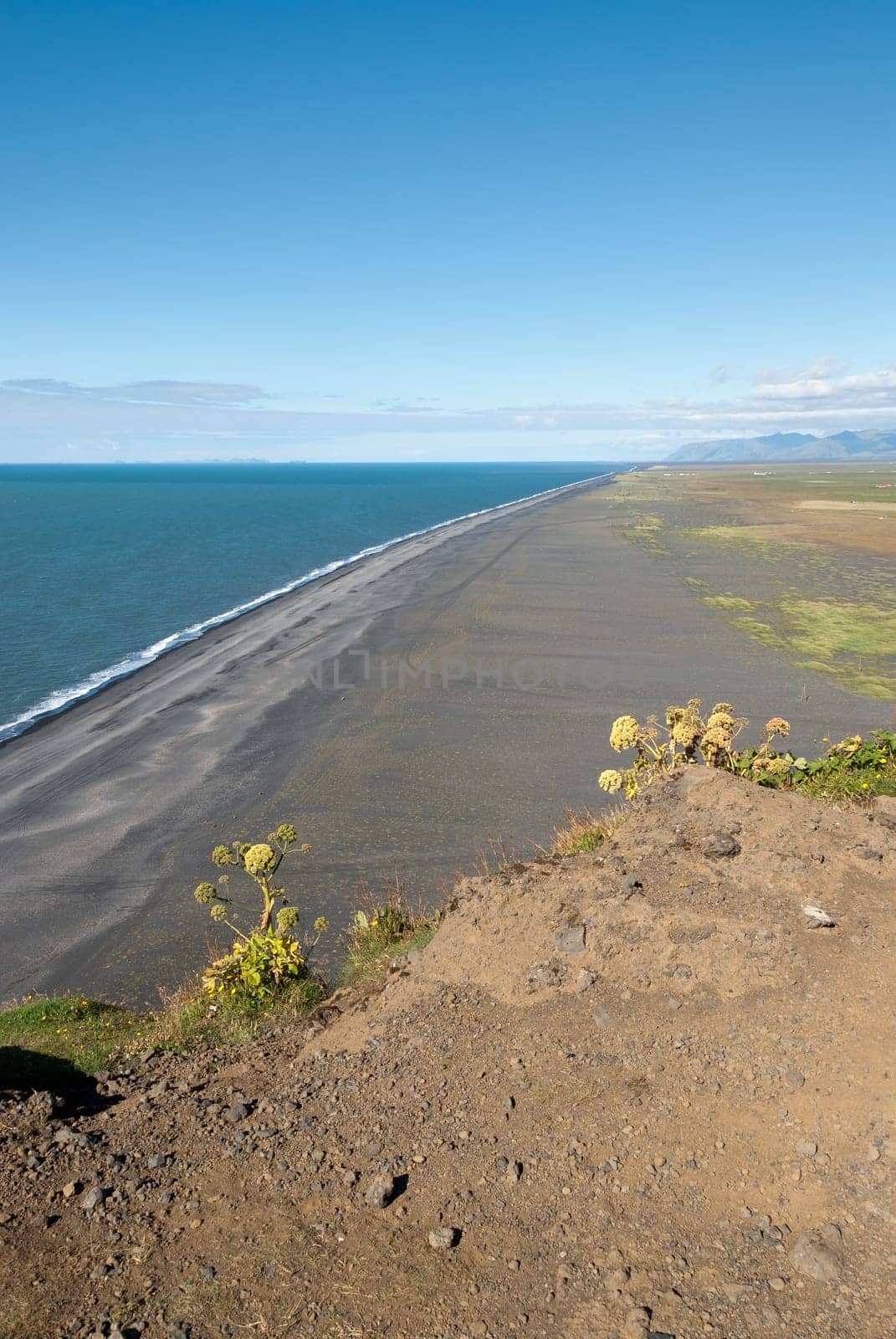 stretch of coast in Vik in Iceland