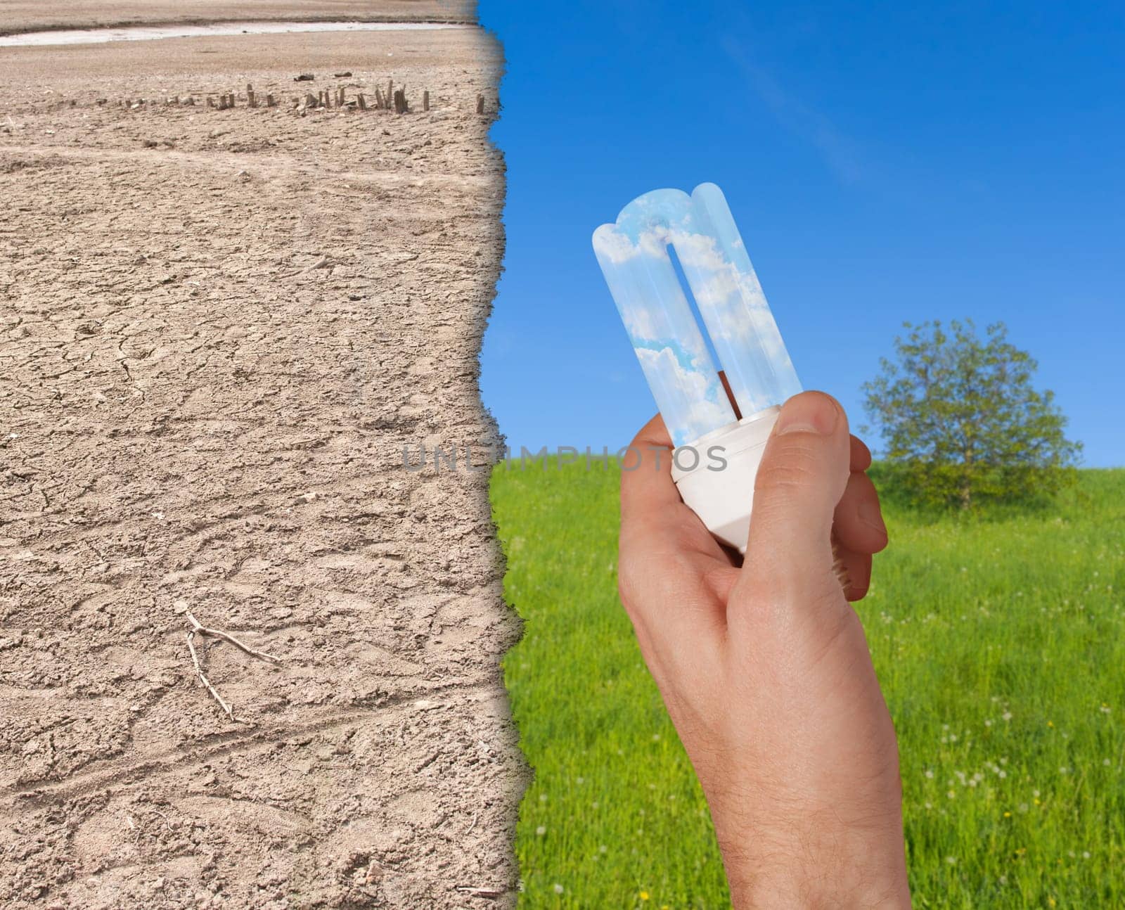 Glowing Energy Saving Bulb in Hand - Green Meadow and Dried Earth in Background