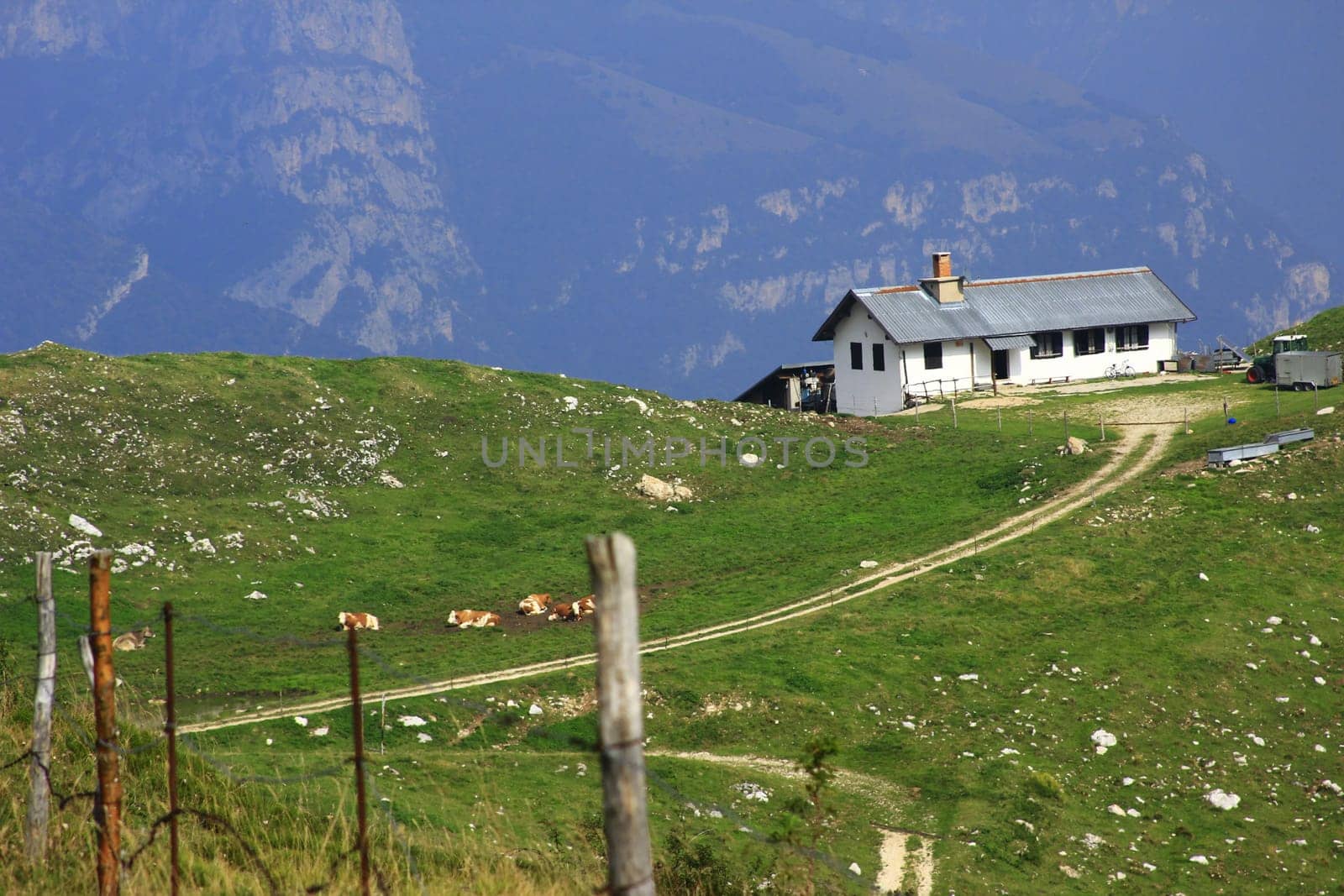 Mountain farm